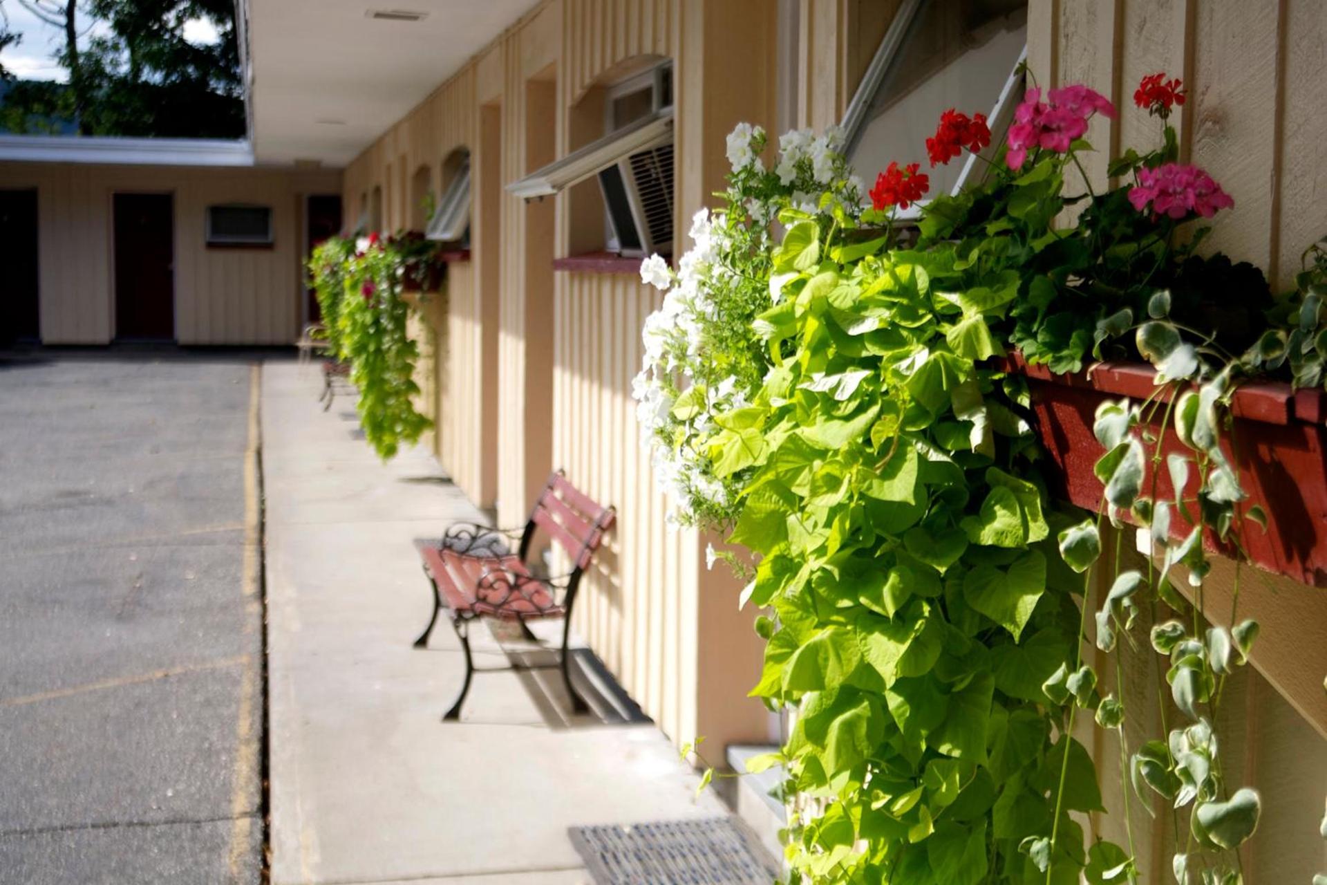 Sunset Motor Inn photo 5