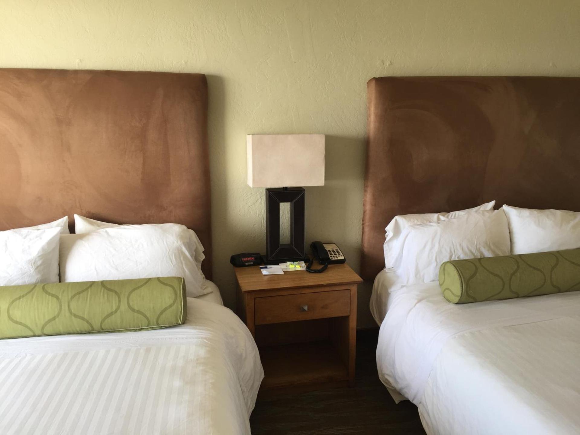 Surfer Beach Hotel photo 33