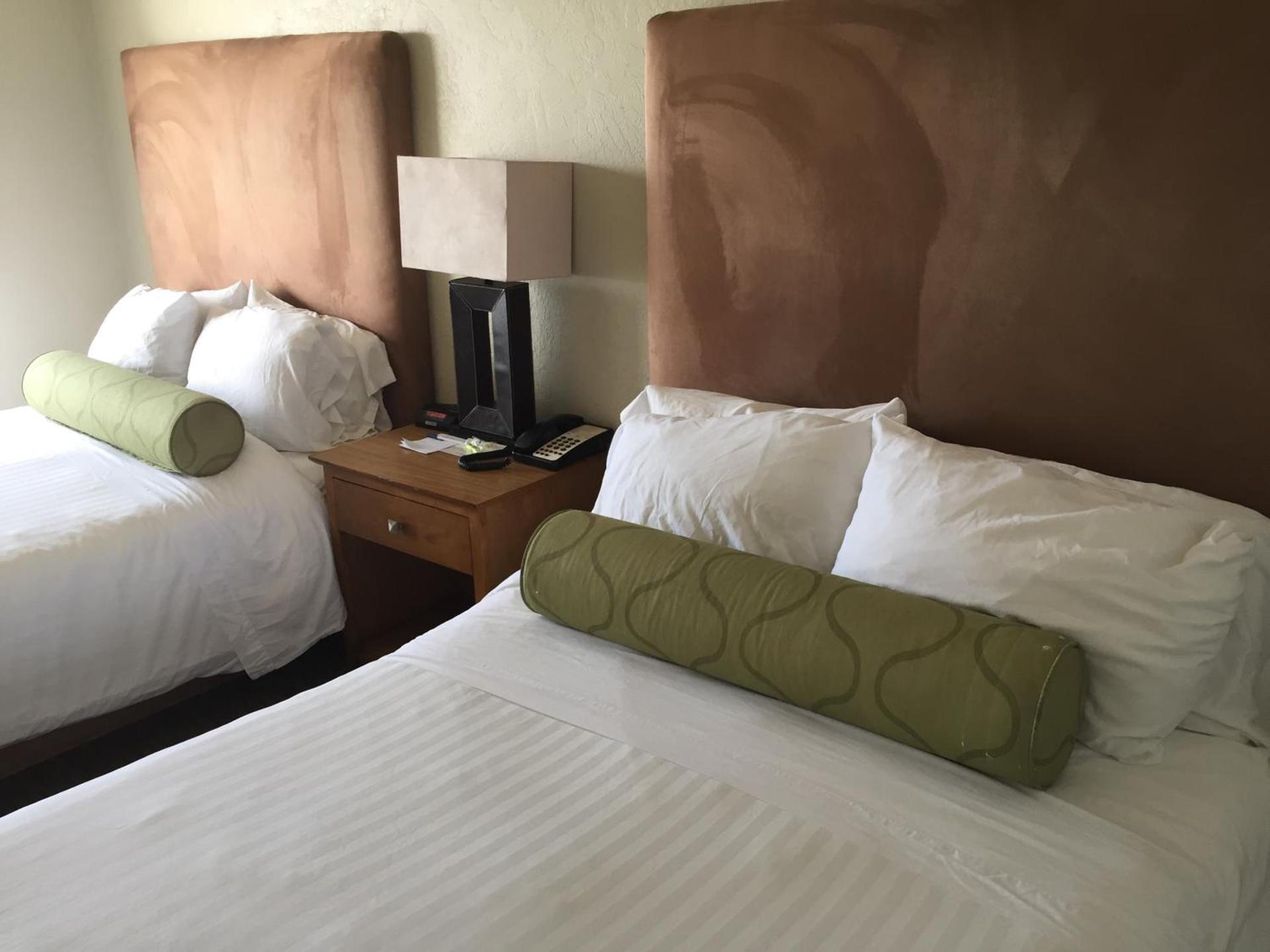 Surfer Beach Hotel photo 26