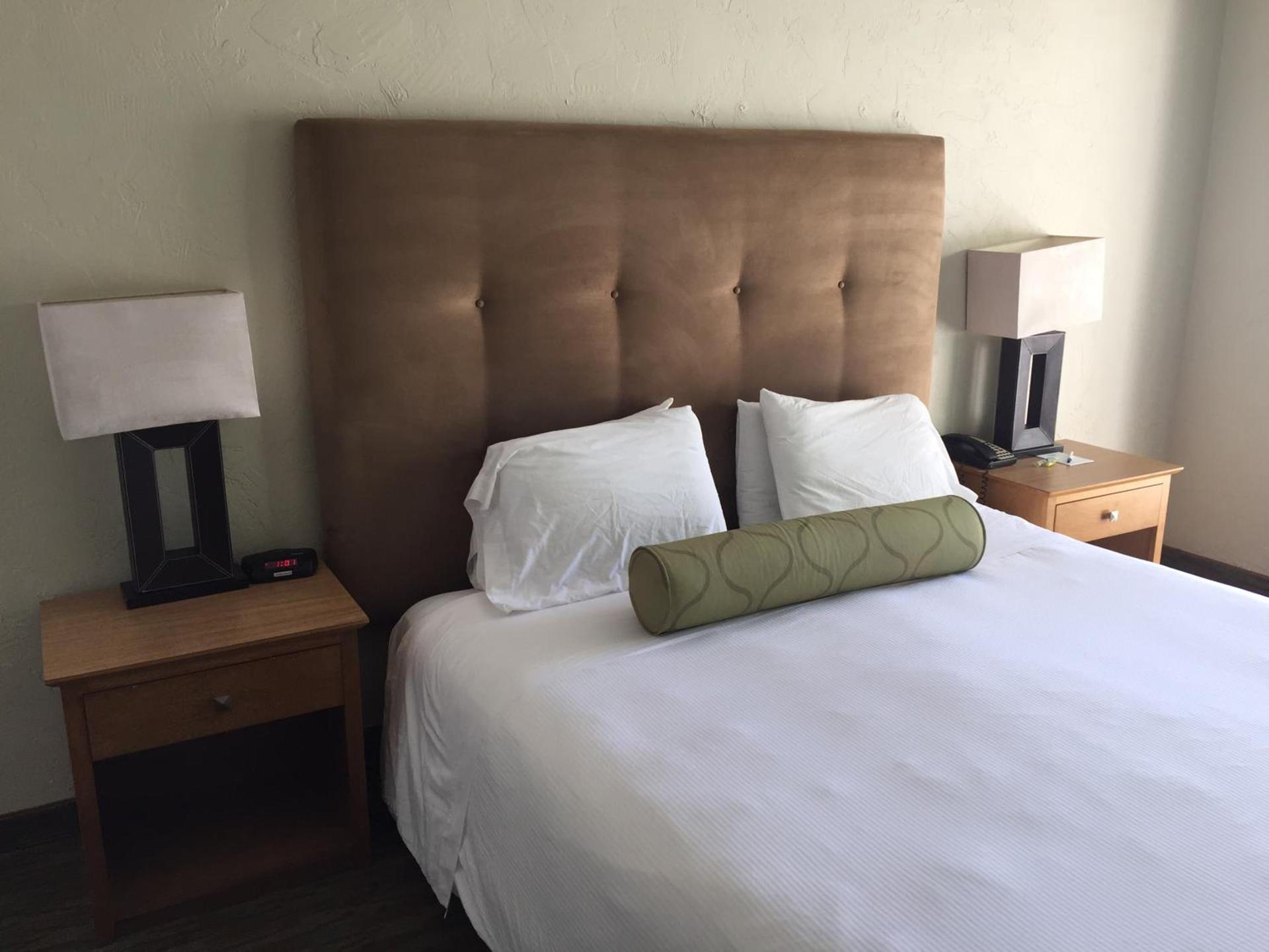 Surfer Beach Hotel photo 20