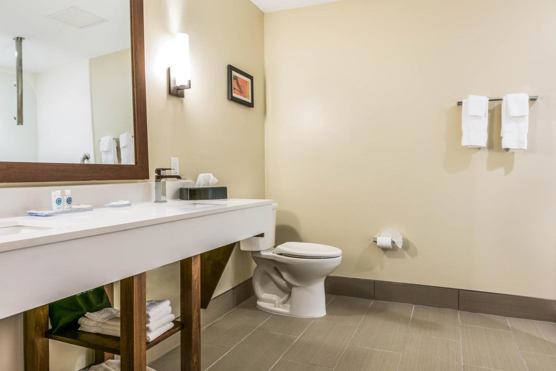 Comfort Suites Florence - Cincinnati South photo 39
