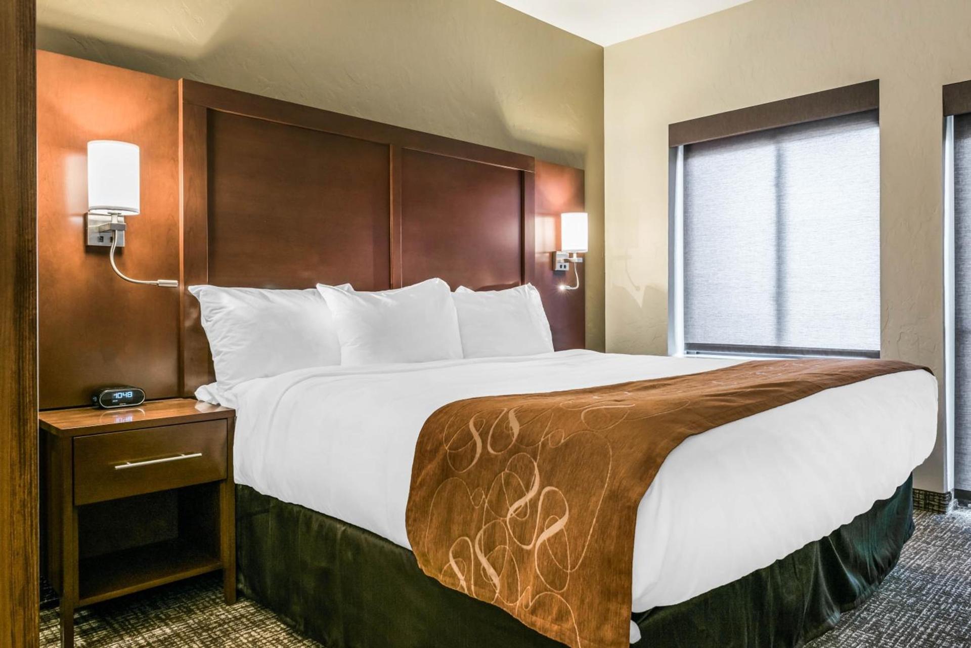 Comfort Suites Florence - Cincinnati South photo 22