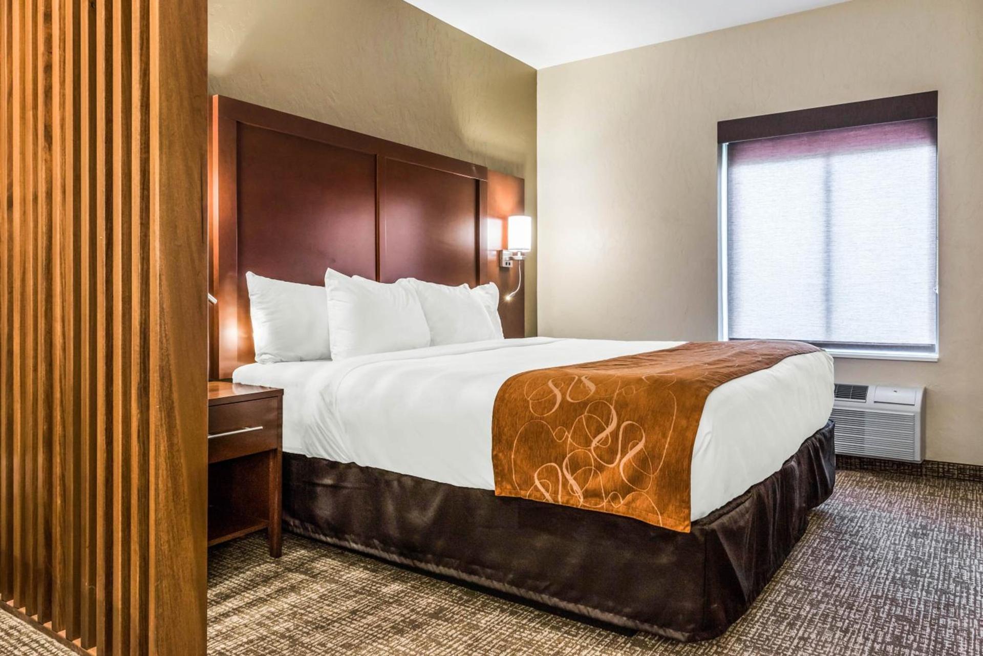 Comfort Suites Florence - Cincinnati South photo 35