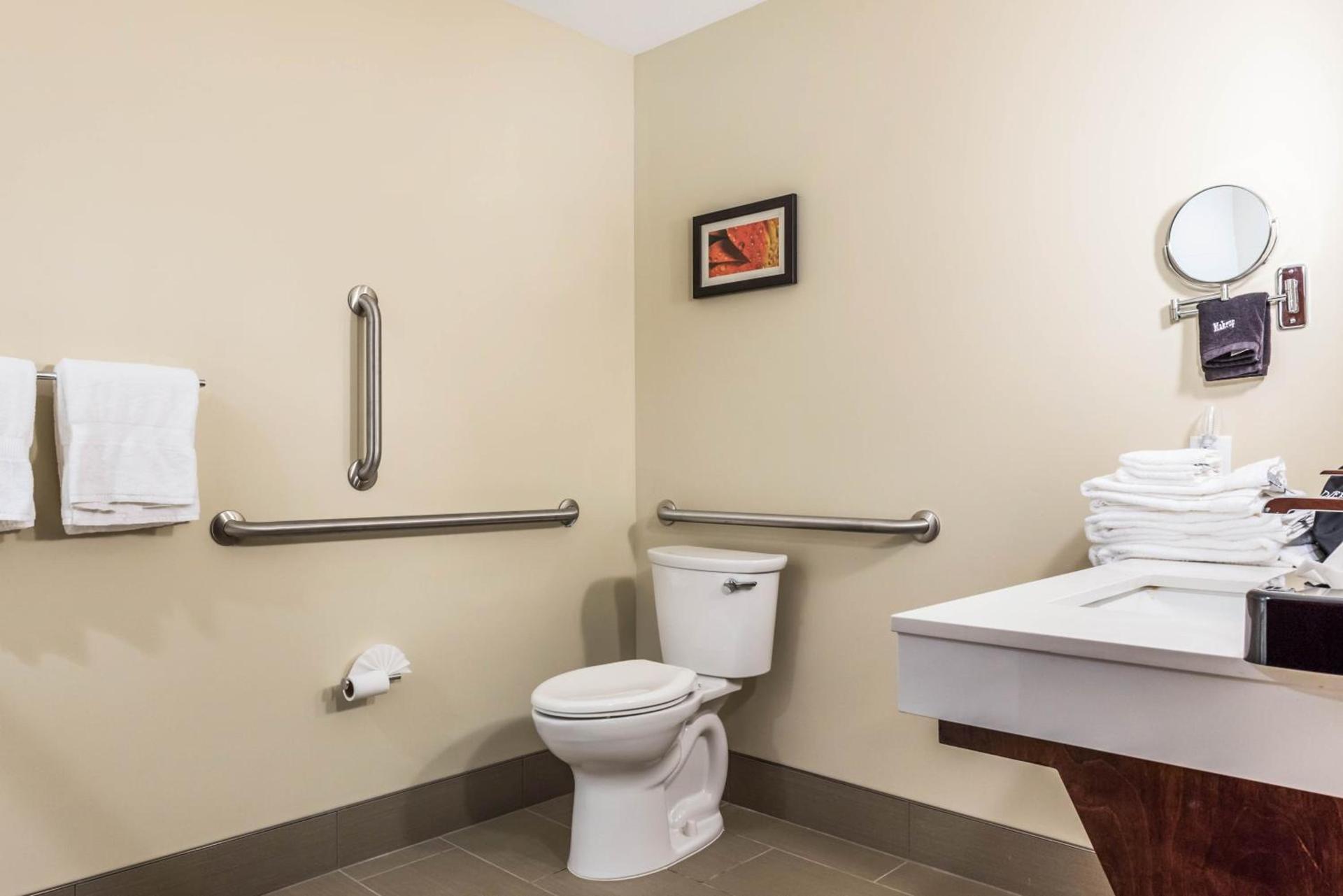Comfort Suites Florence - Cincinnati South photo 18