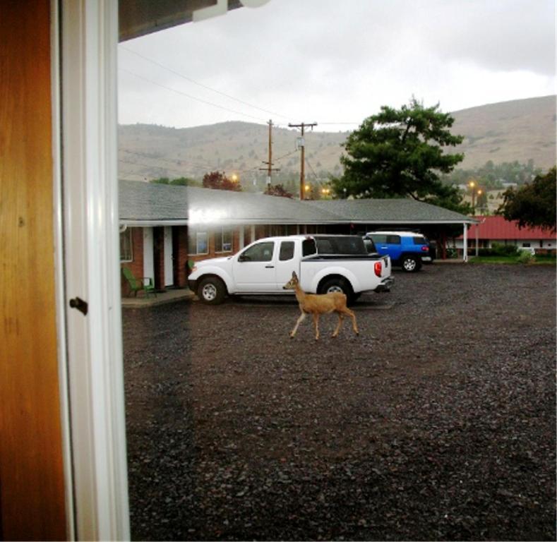 Golden West Motel photo 16