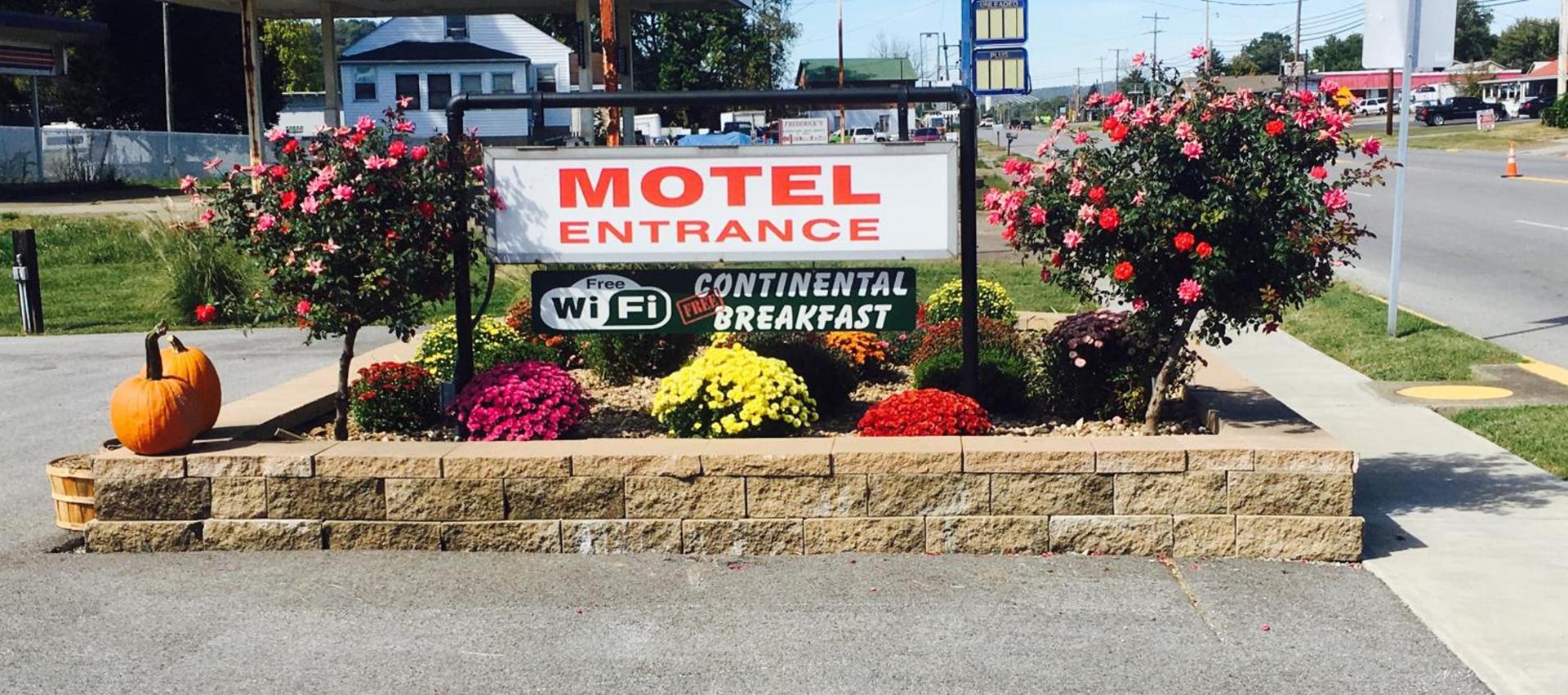 Brown's Motel photo 41