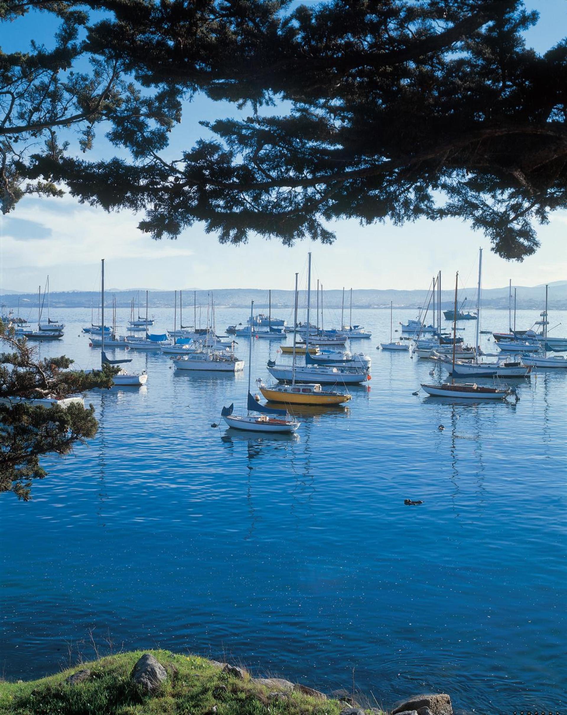 Monterey Bay Inn photo 24