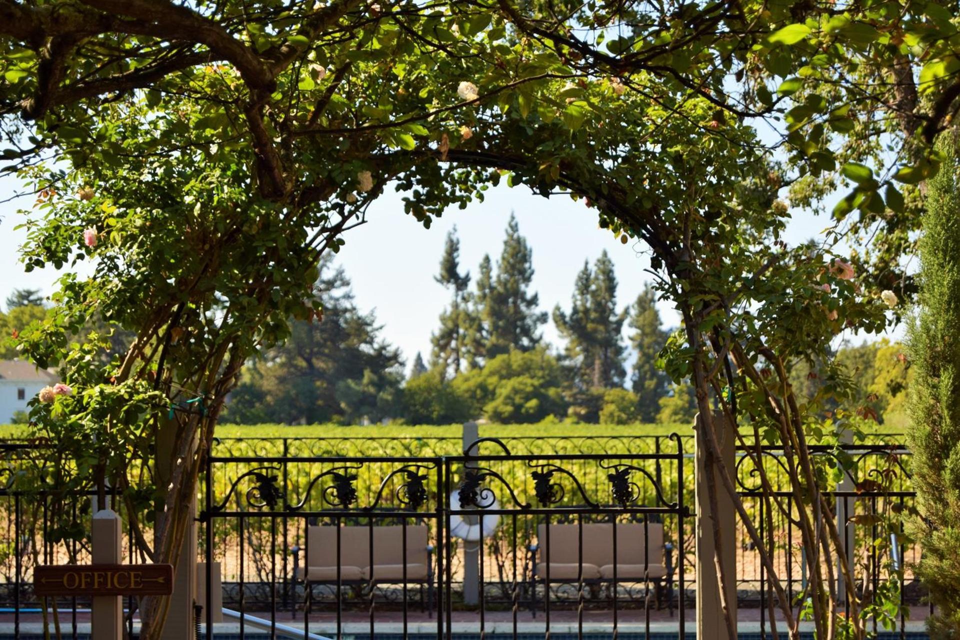 Vineyard Country Inn photo 18