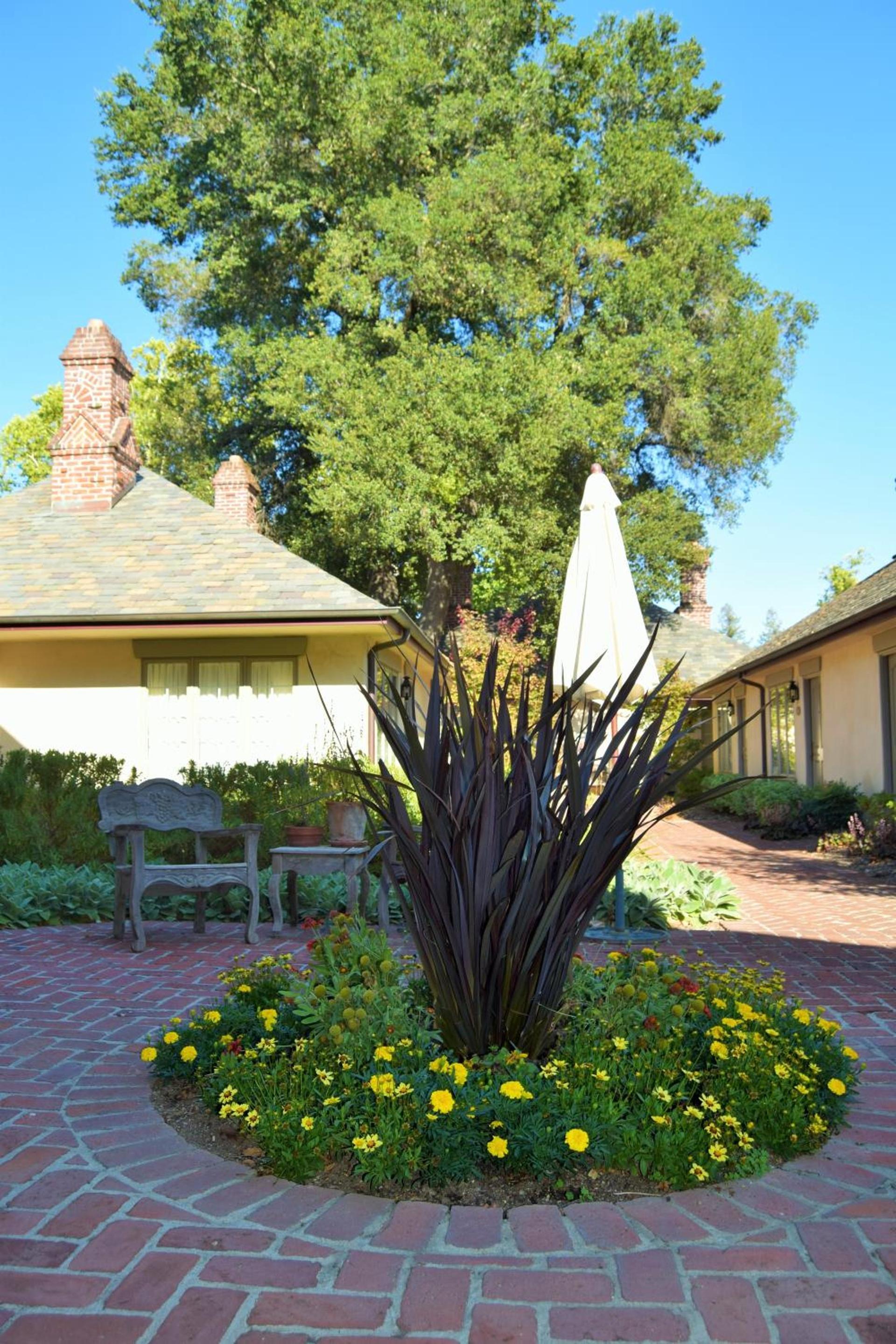 Vineyard Country Inn photo 21