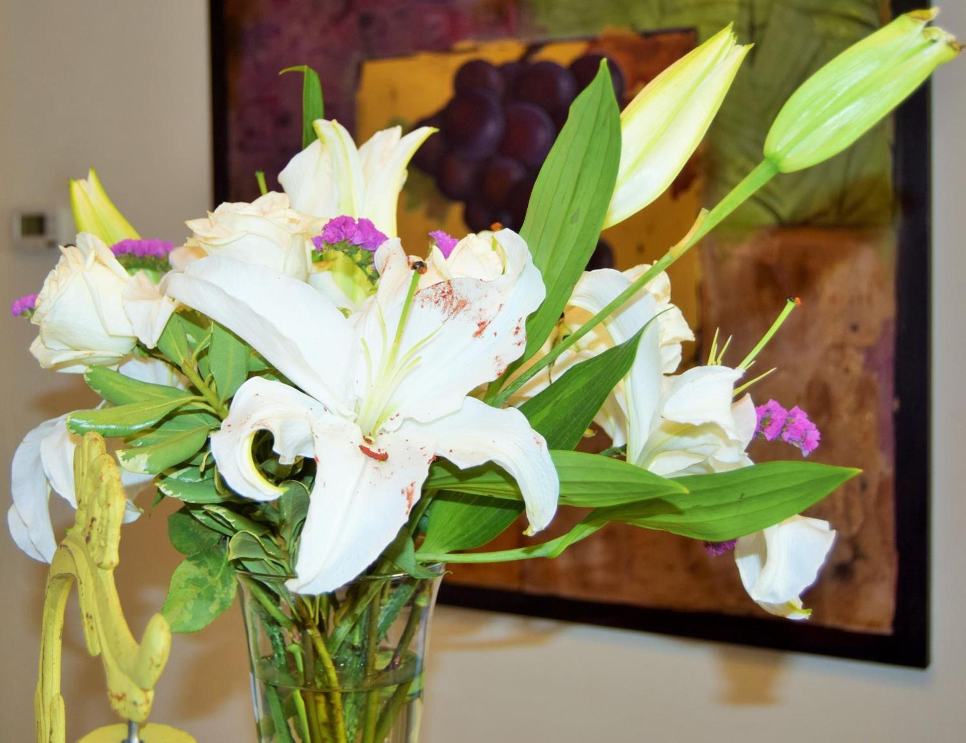 Vineyard Country Inn photo 22