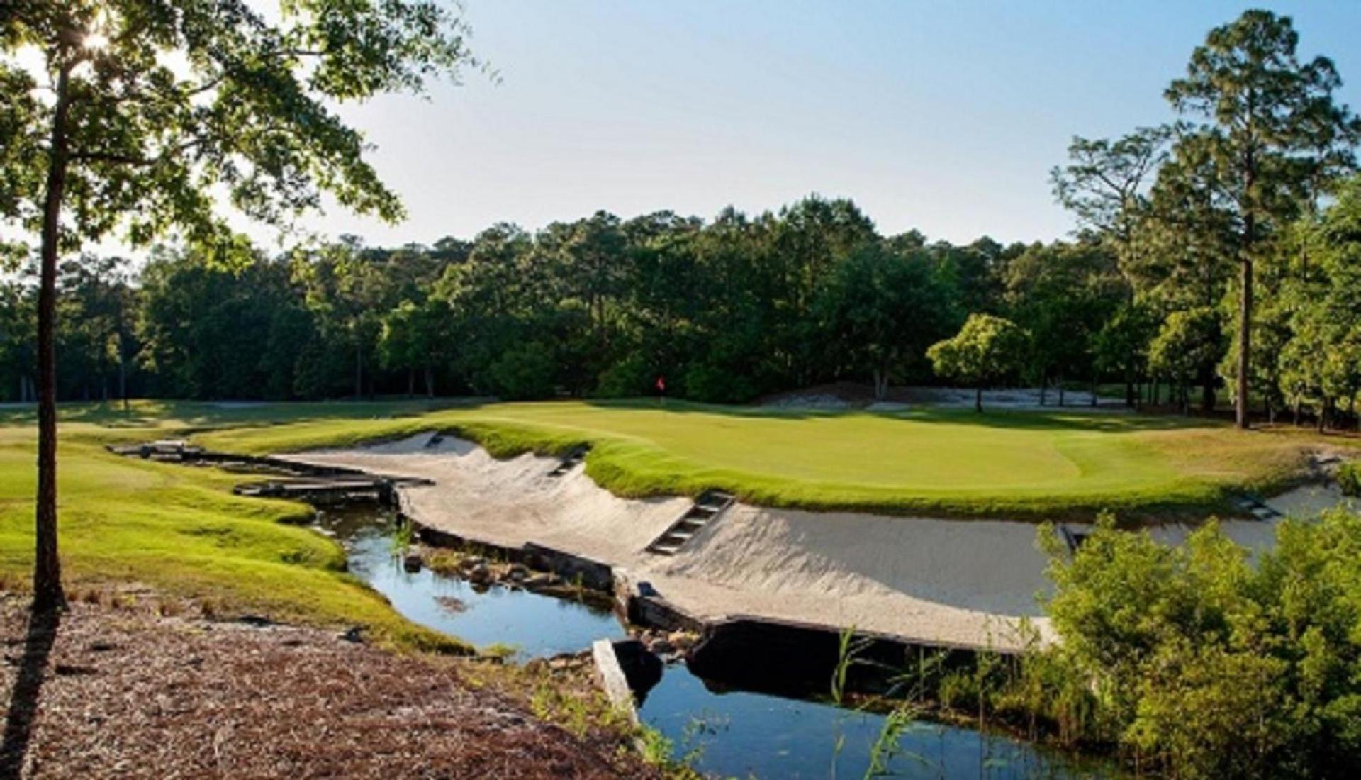 Pawley's True Blue photo 8