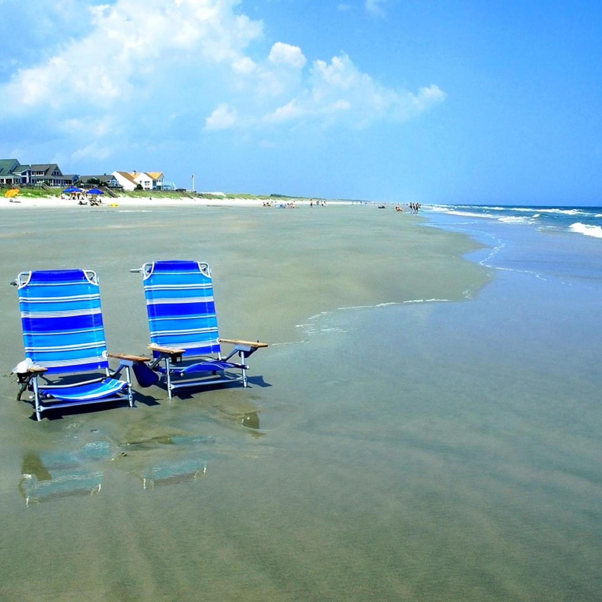 Pawley's True Blue photo 9