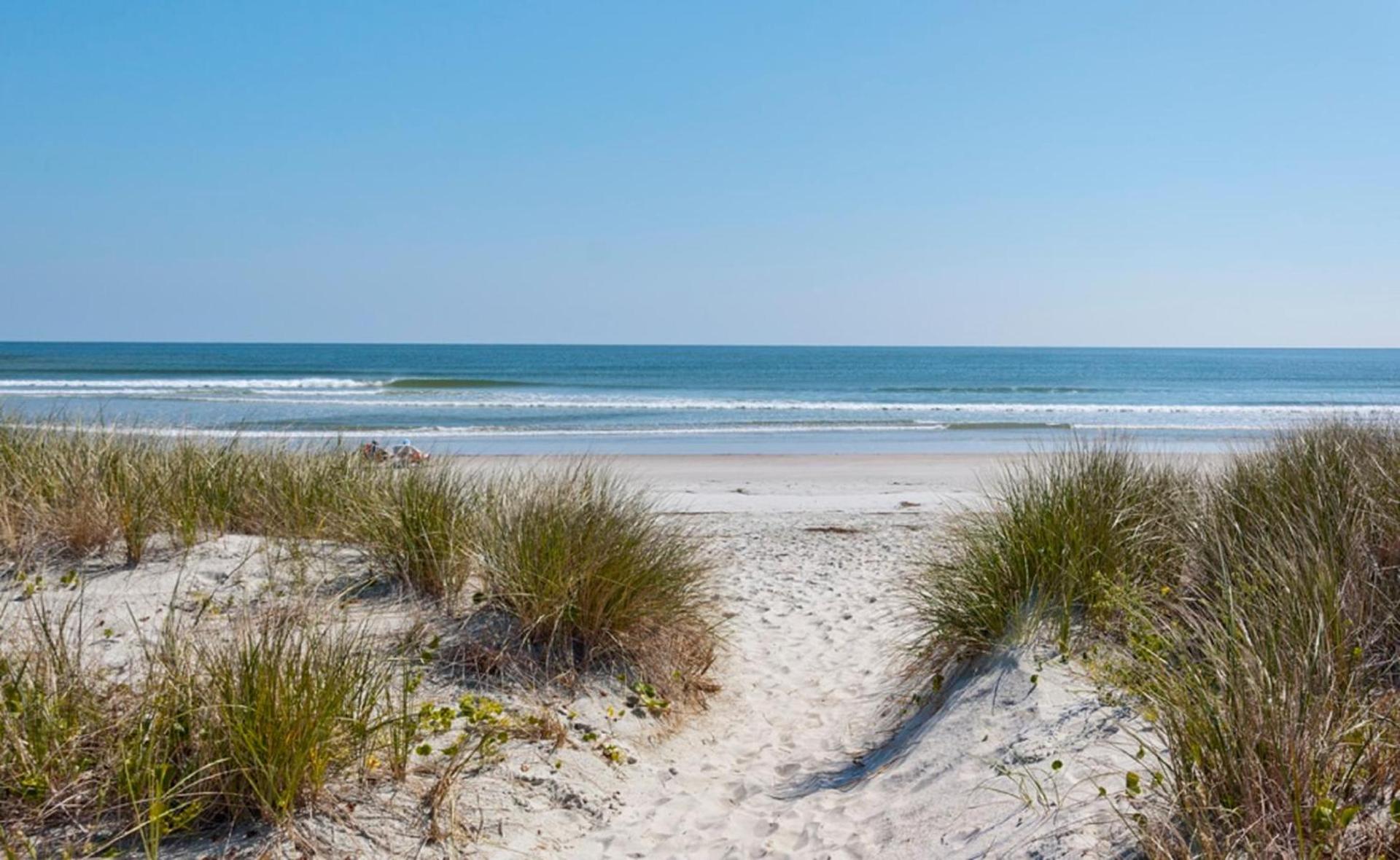 Pawley's True Blue photo 10