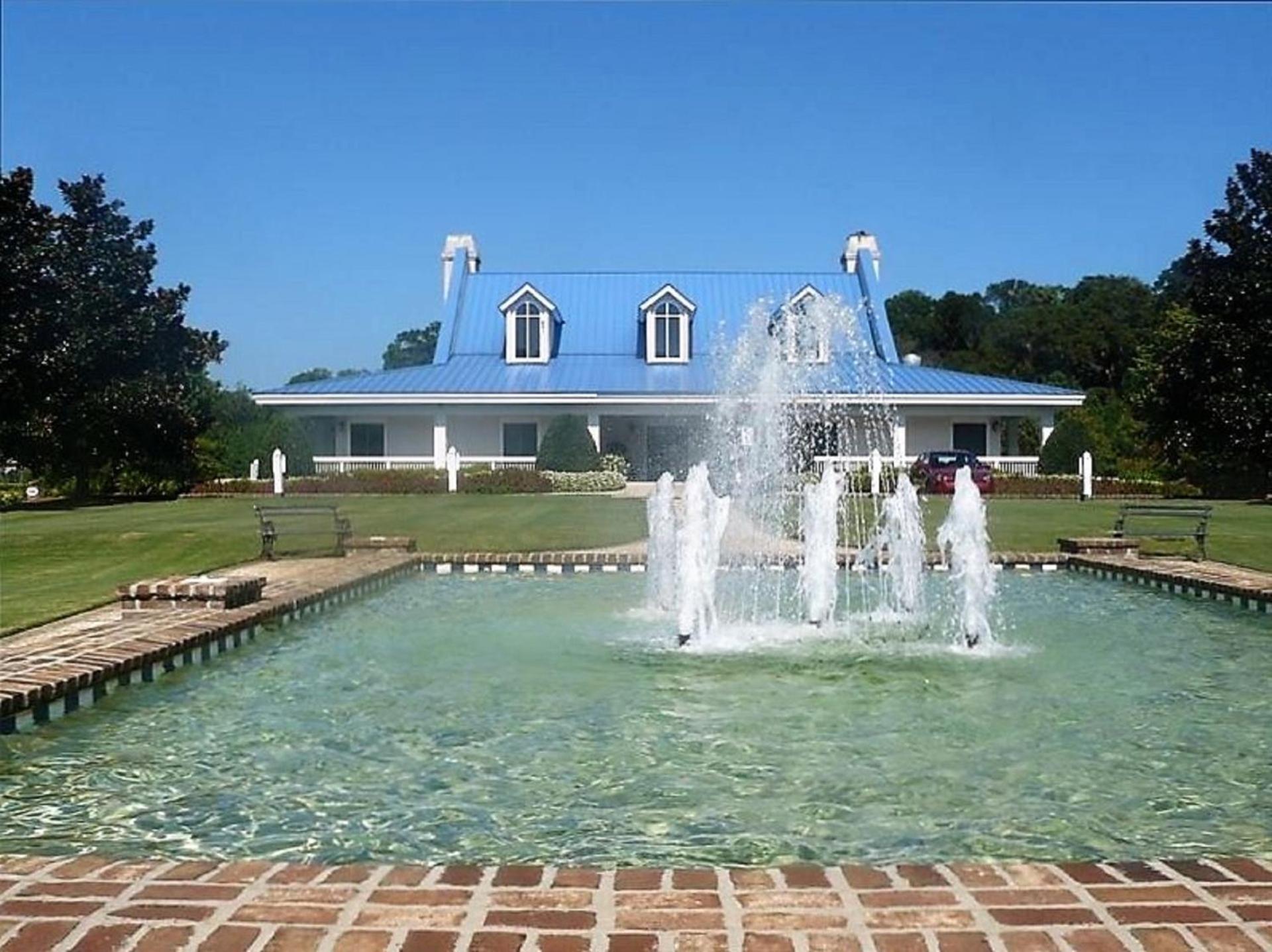 Pawley's True Blue photo 6