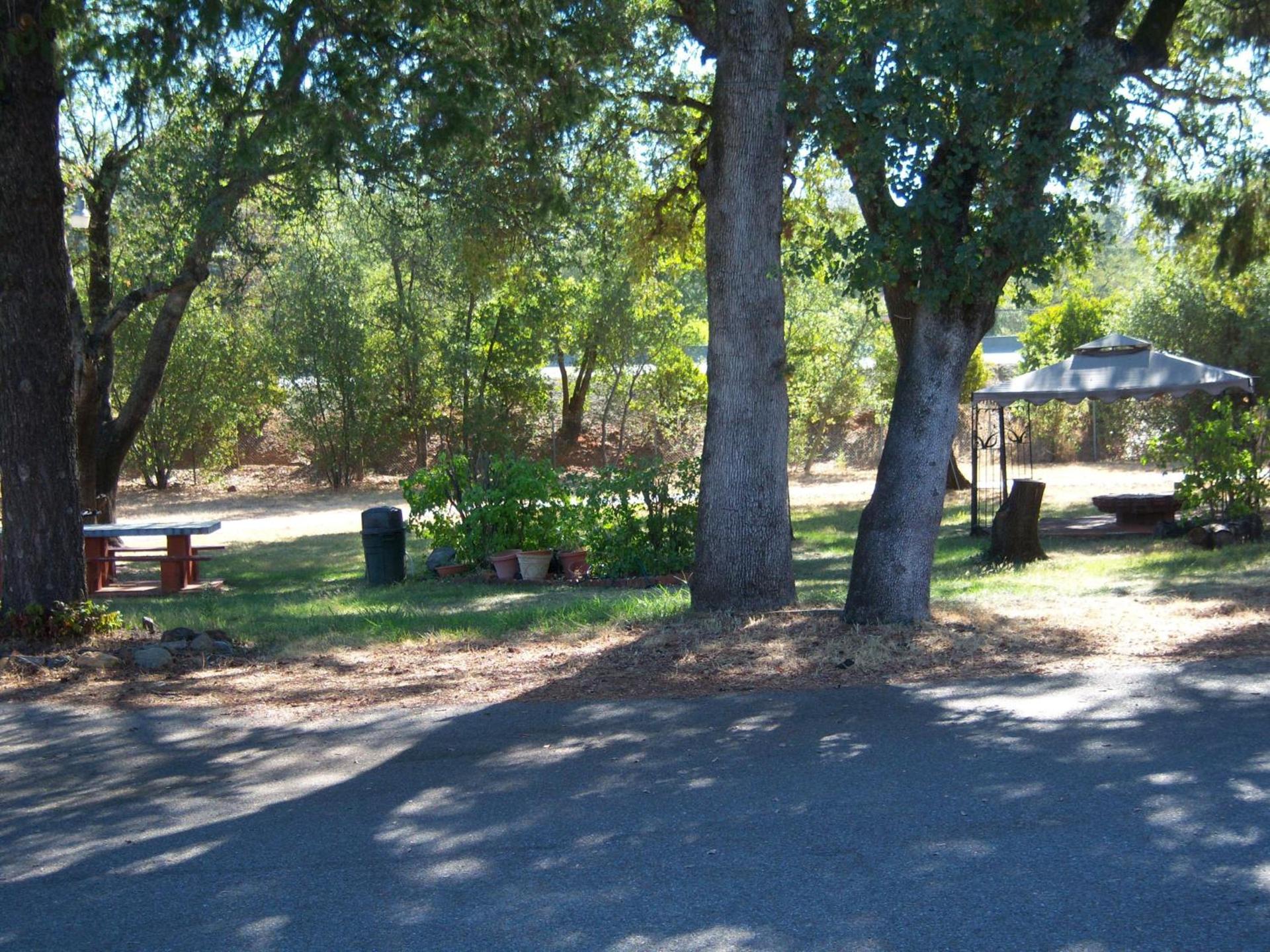 Shasta Dam Motel photo 2