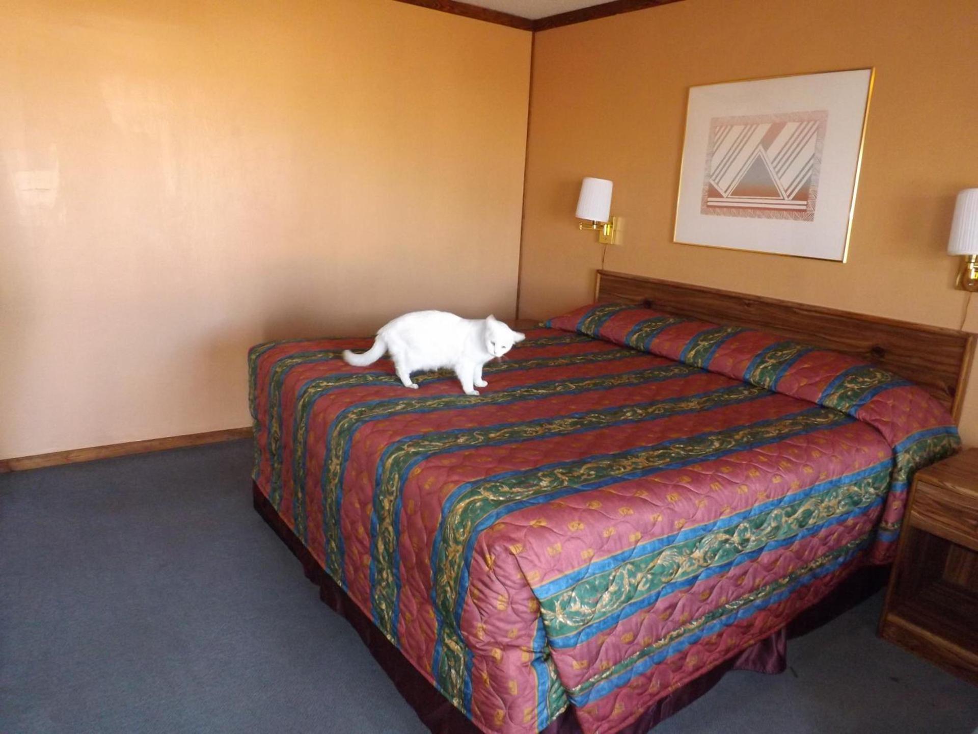 Tristar Inn Xpress photo 6
