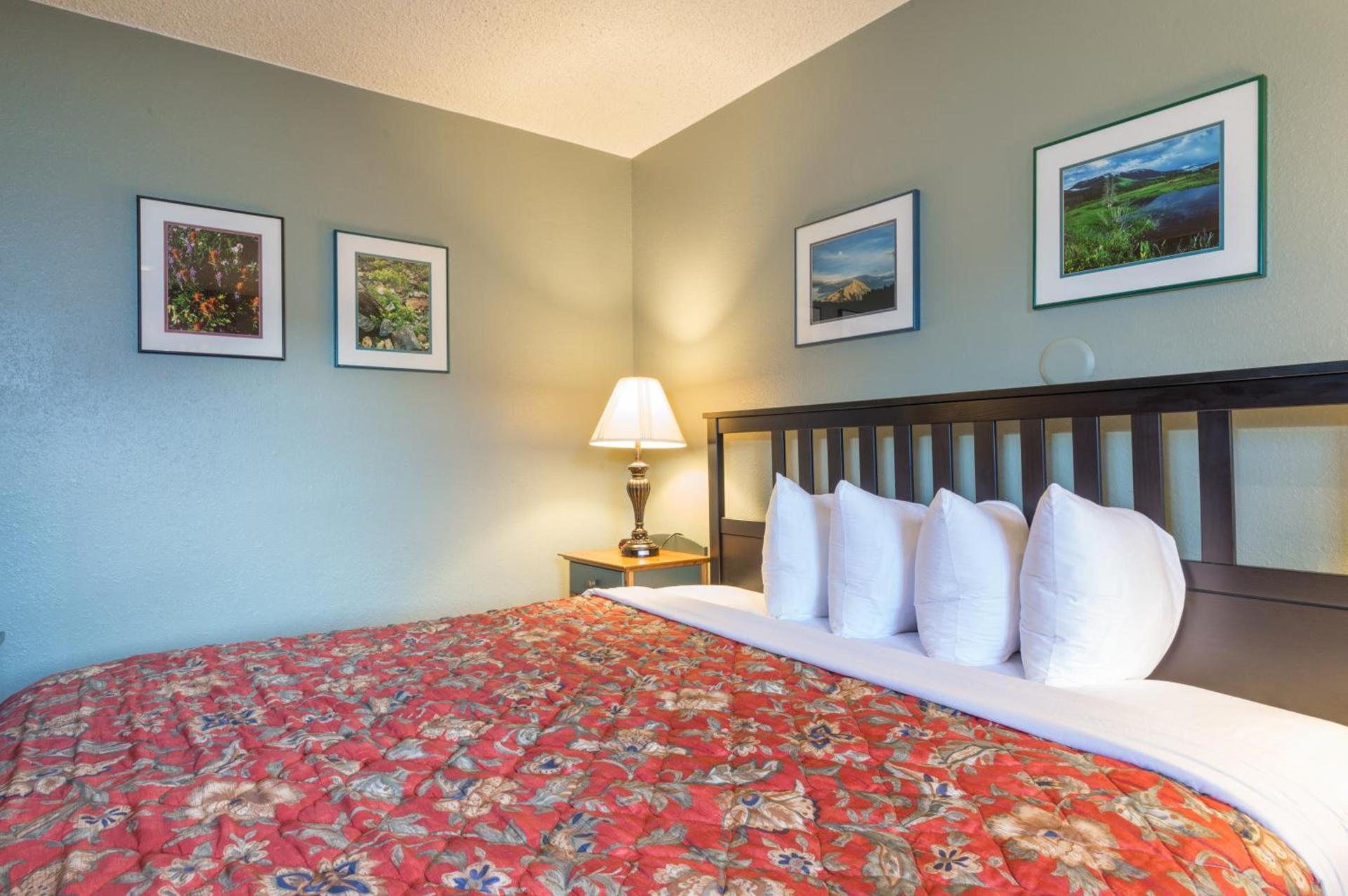 Old Town Inn photo 40