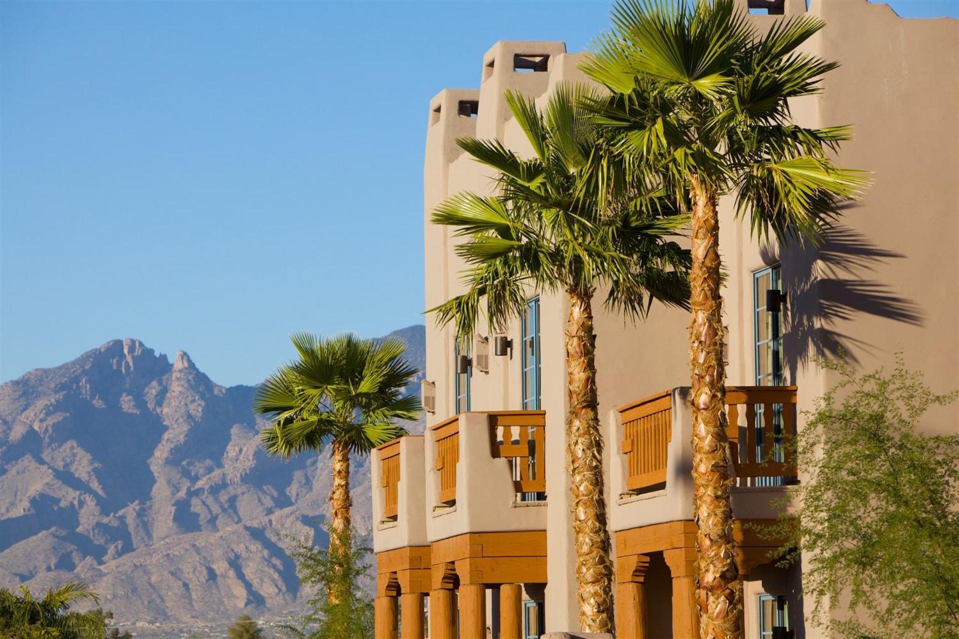 Lodge On The Desert photo 6