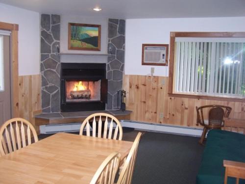 Slide Mountain Forest House photo 36