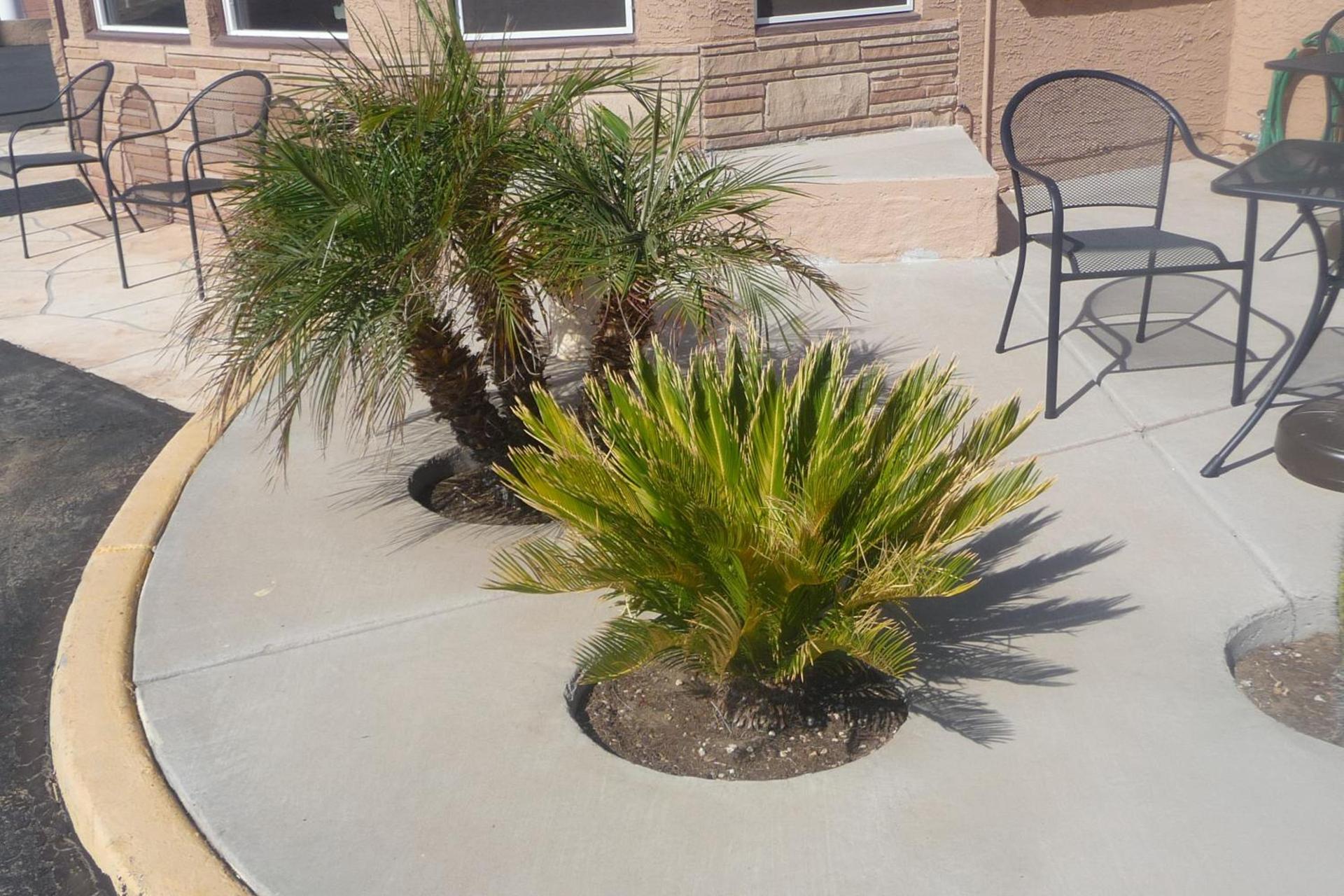 Palms Inn photo 22