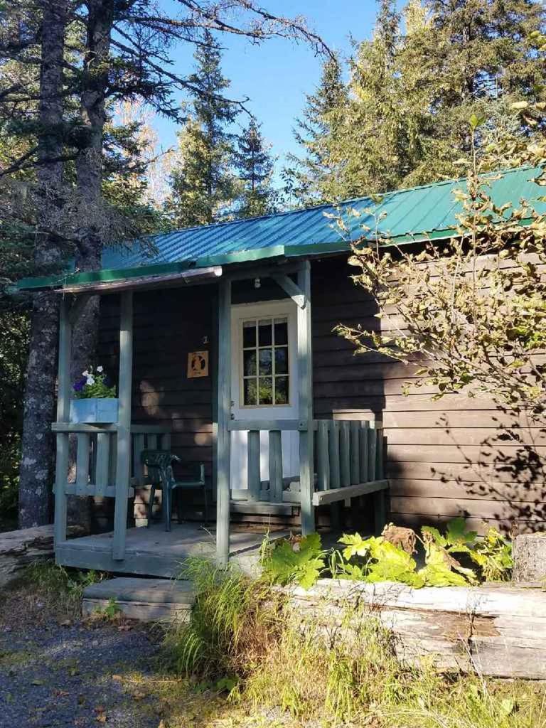 Exit Glacier Lodge photo 65