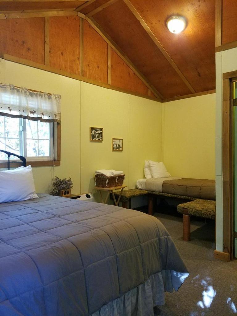 Exit Glacier Lodge photo 64