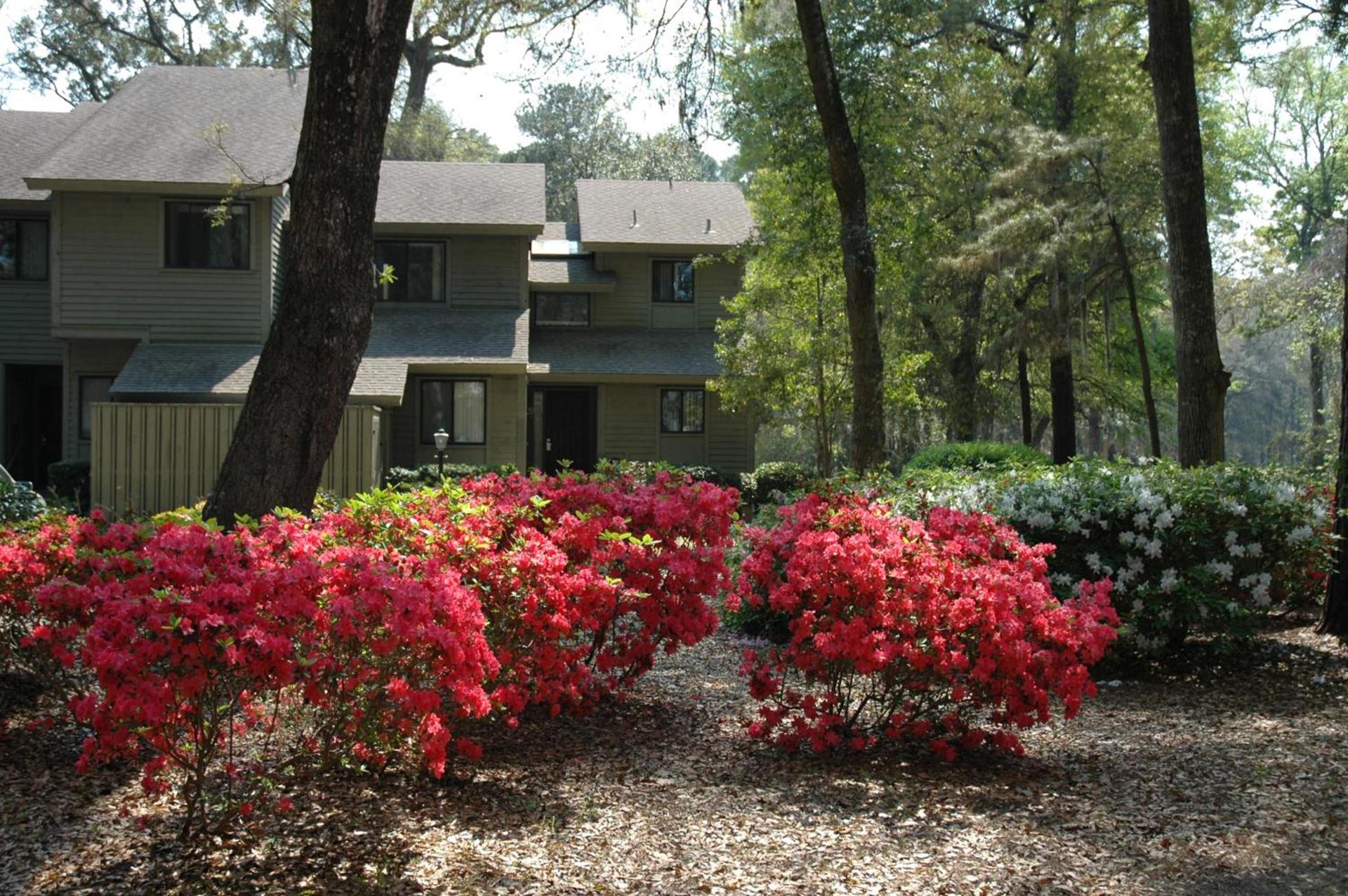 Carolina Club by Spinnaker Resorts photo 8