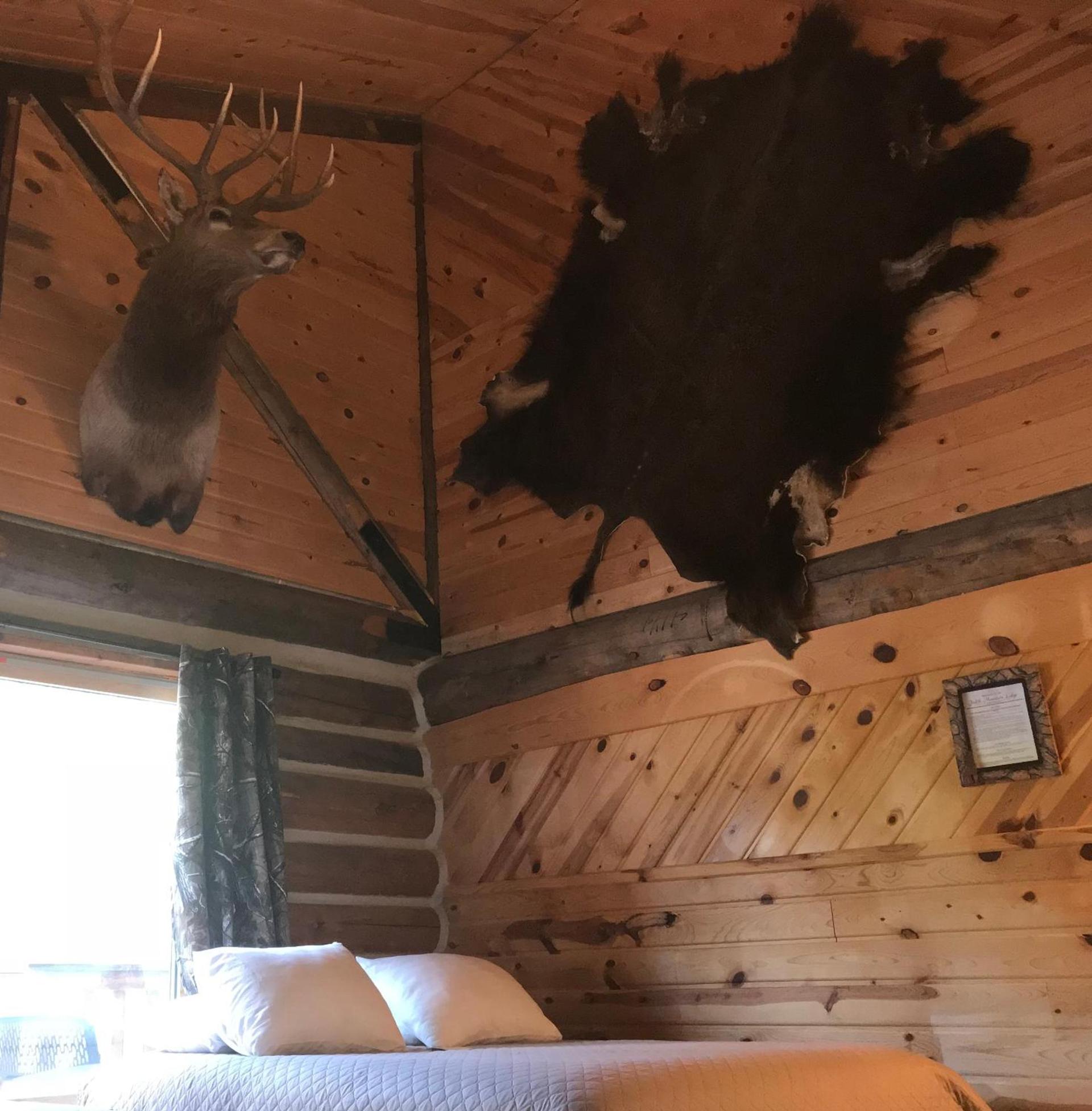 Judith Mountain Lodge photo 14