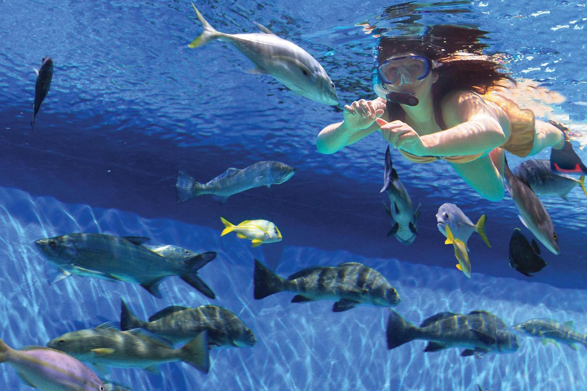 RumFish Beach at TradeWinds photo 31