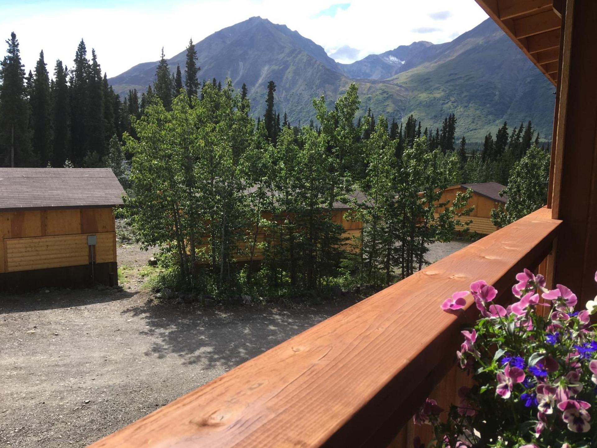 McKinley Creekside Cabins photo 97