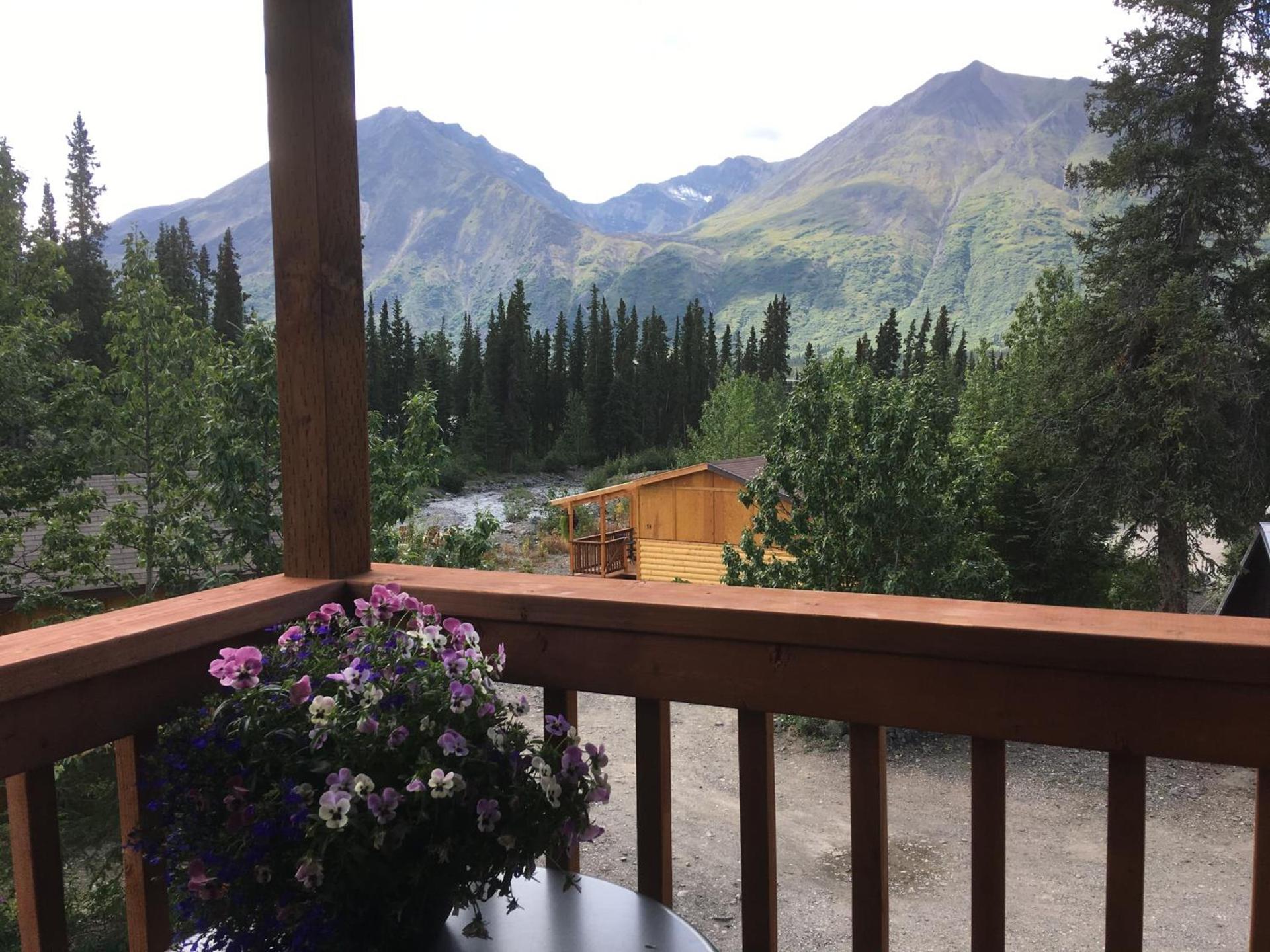 McKinley Creekside Cabins photo 96