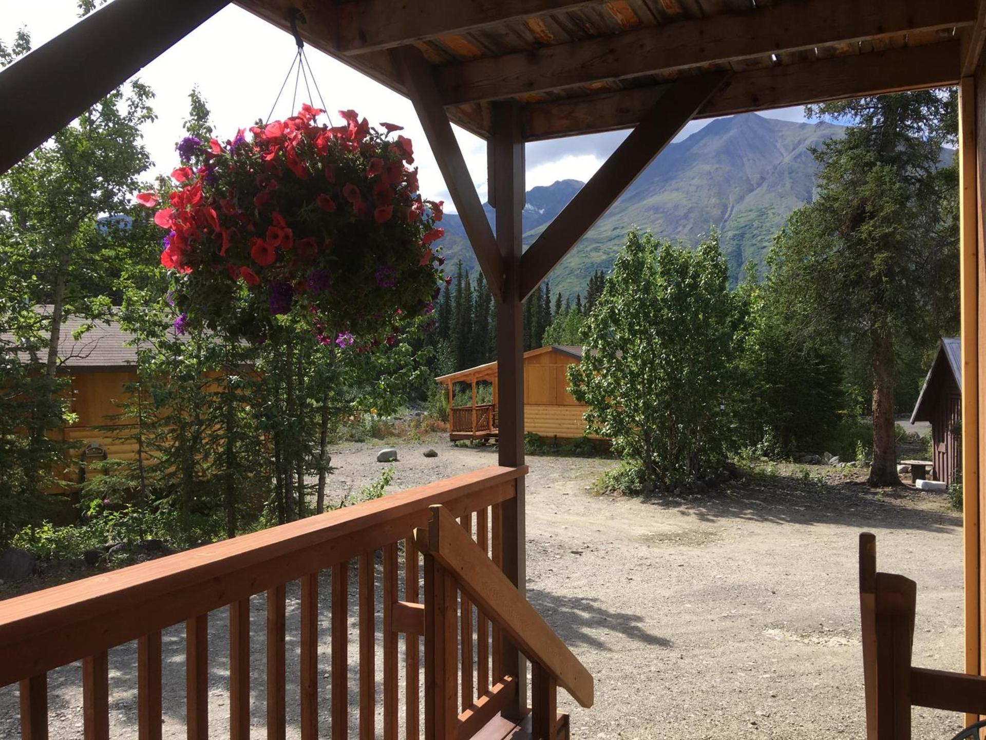 McKinley Creekside Cabins photo 94