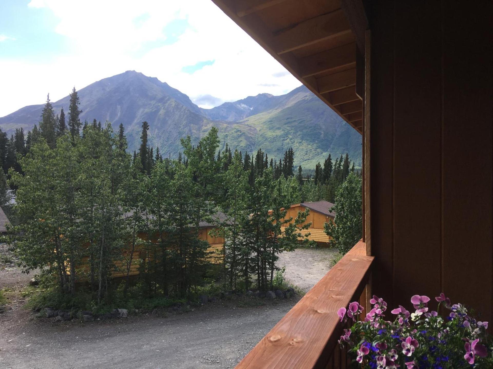 McKinley Creekside Cabins photo 90