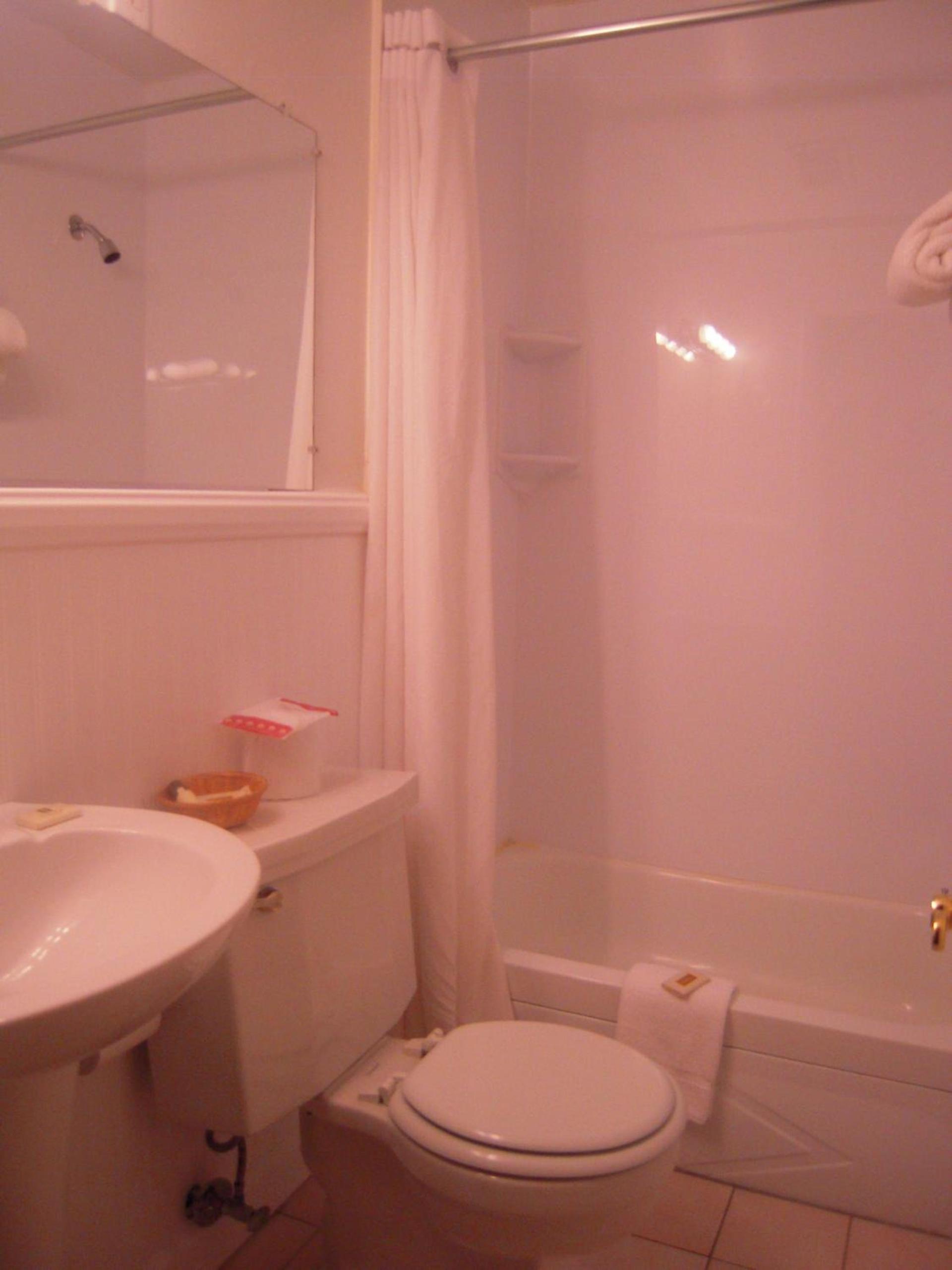 Super 8 by Wyndham Albany photo 10