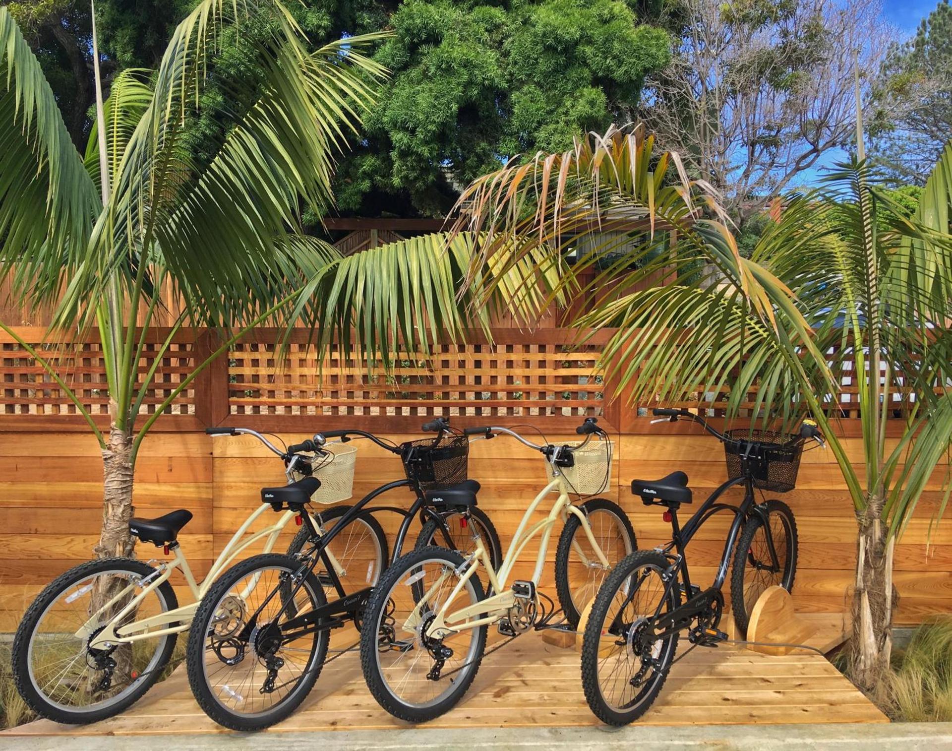 Surfhouse photo 84