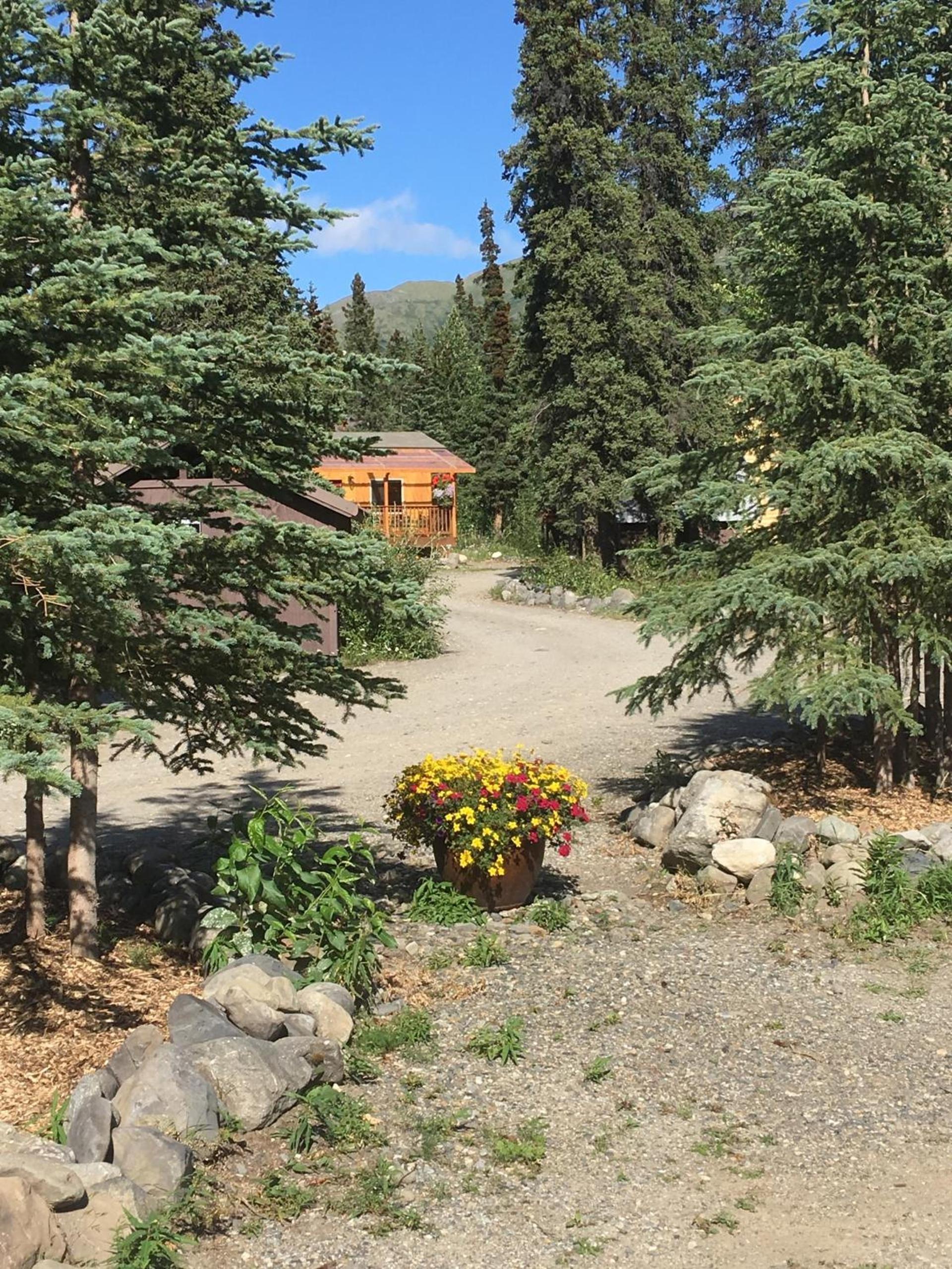 McKinley Creekside Cabins photo 82