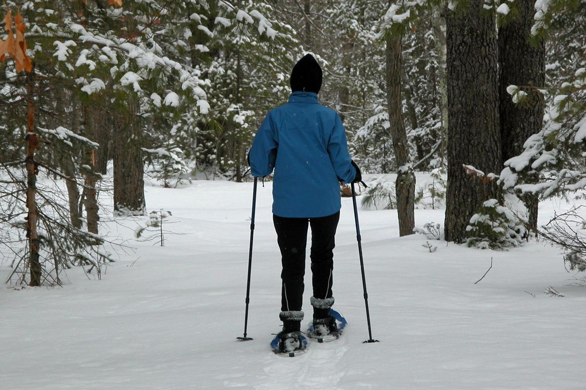 Lake Forest Resort photo 3