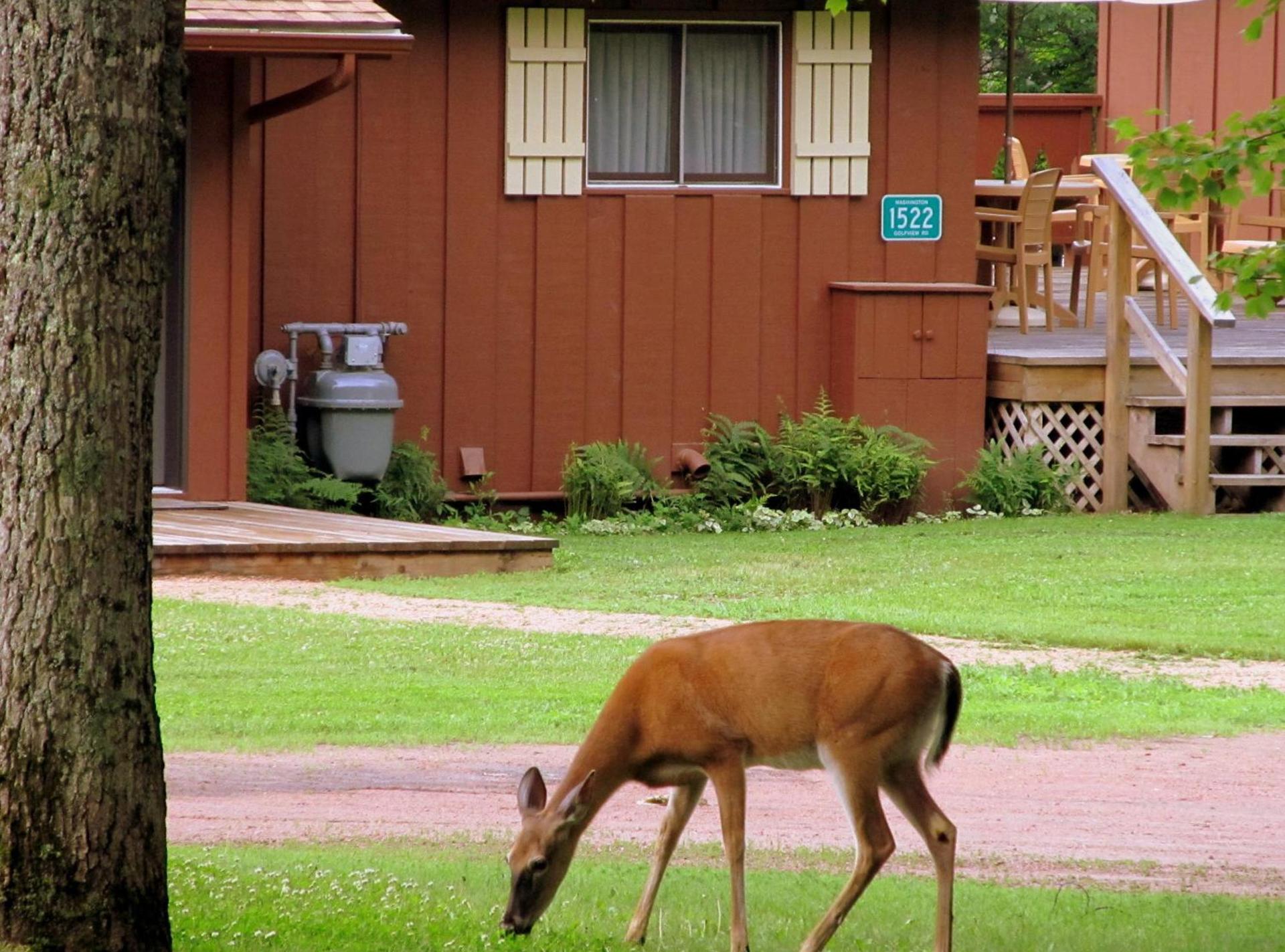 Lake Forest Resort photo 10