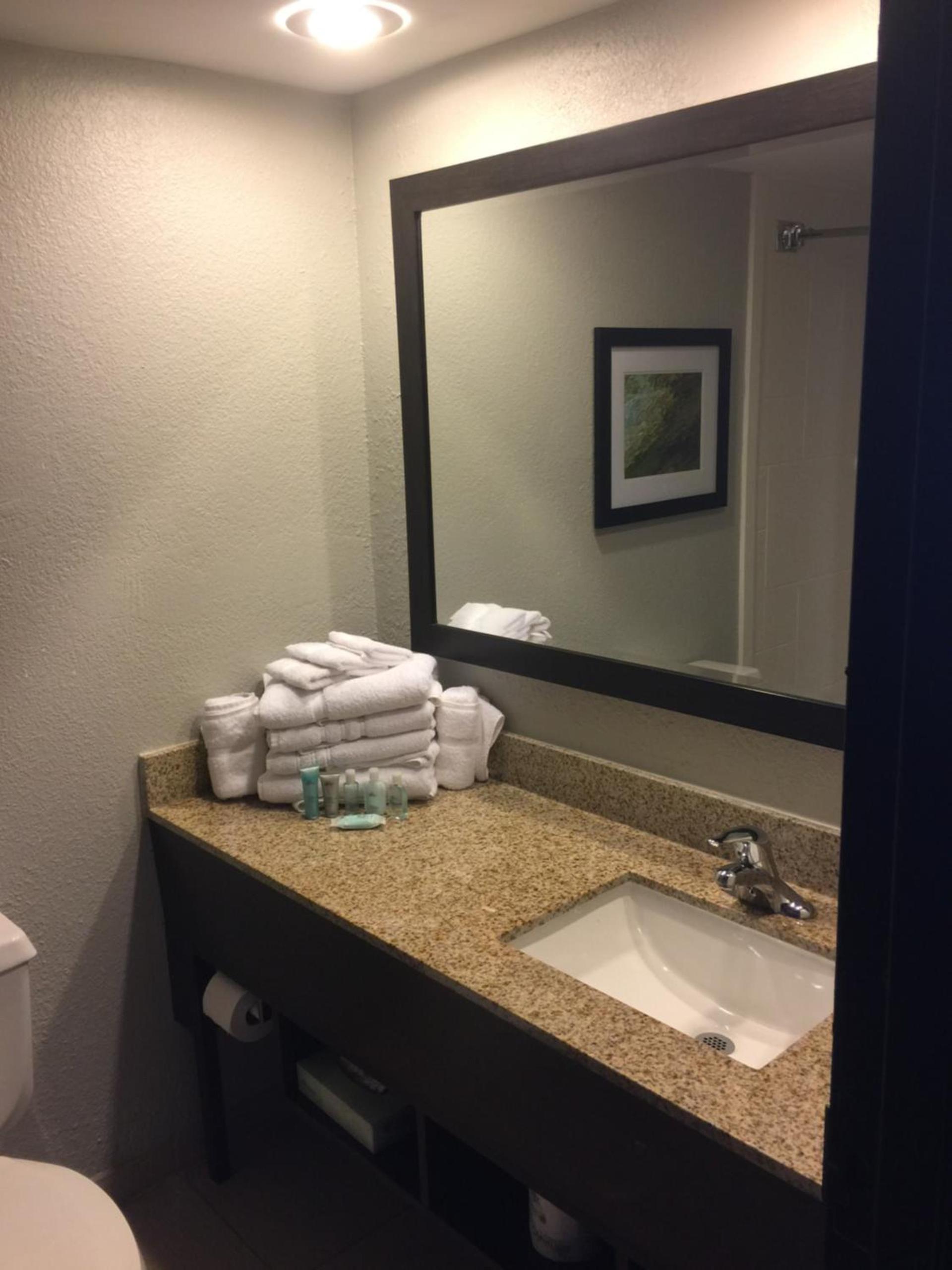 Wyndham Garden Hotel - Jacksonville photo 3