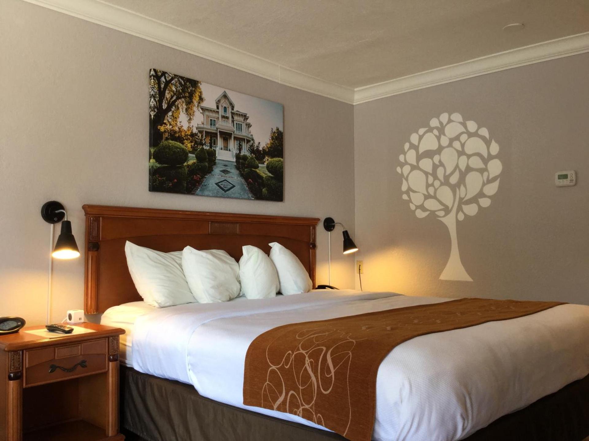 Journey Inn photo 4