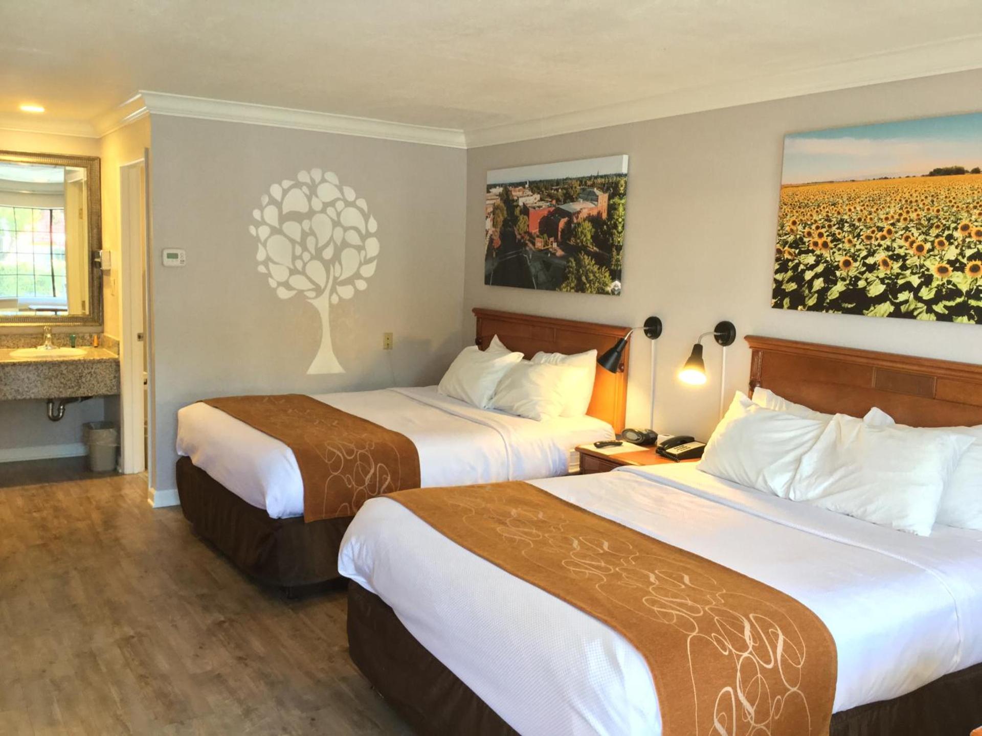 Journey Inn photo 10