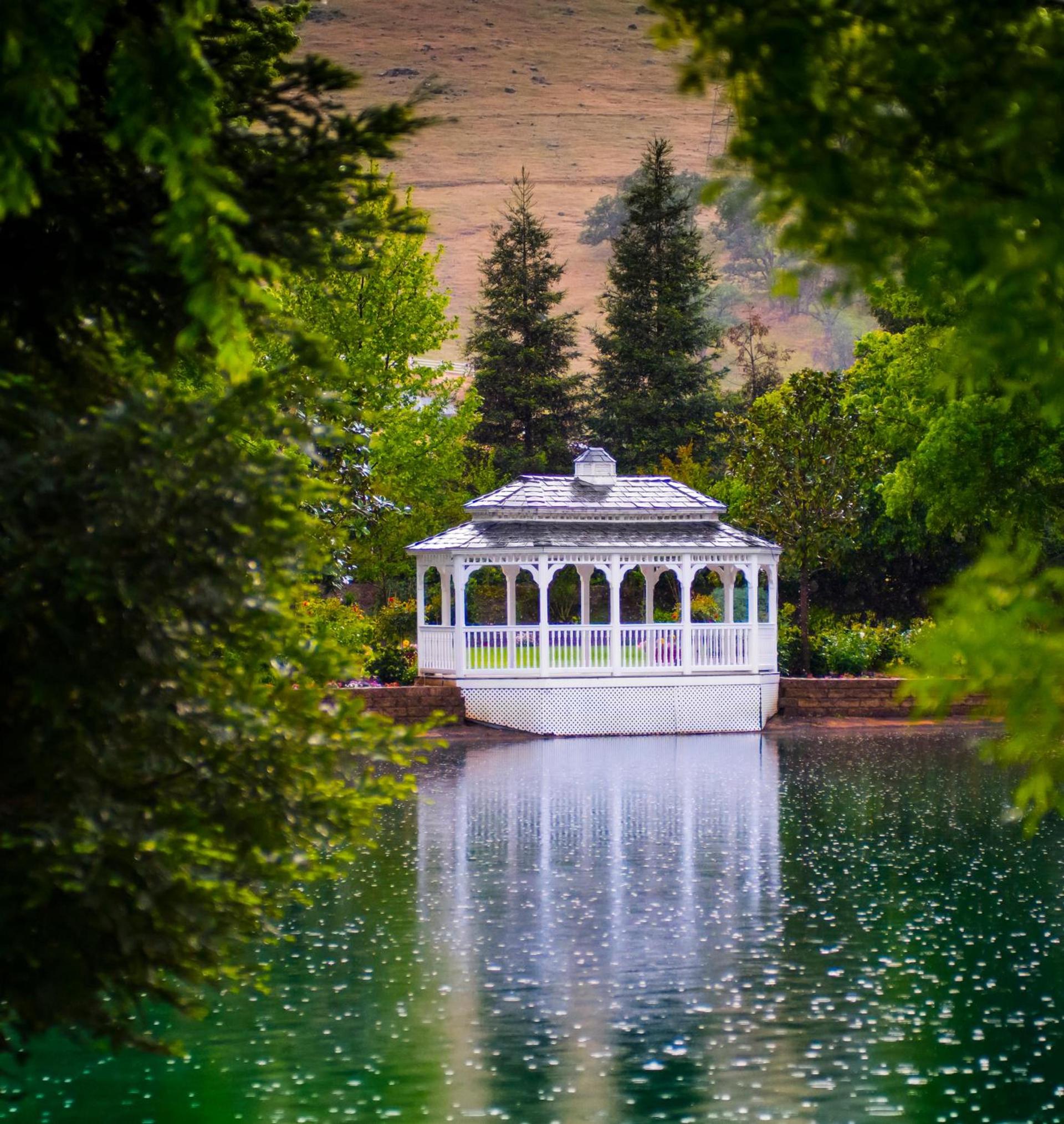 Wonder Valley Ranch Resort photo 32