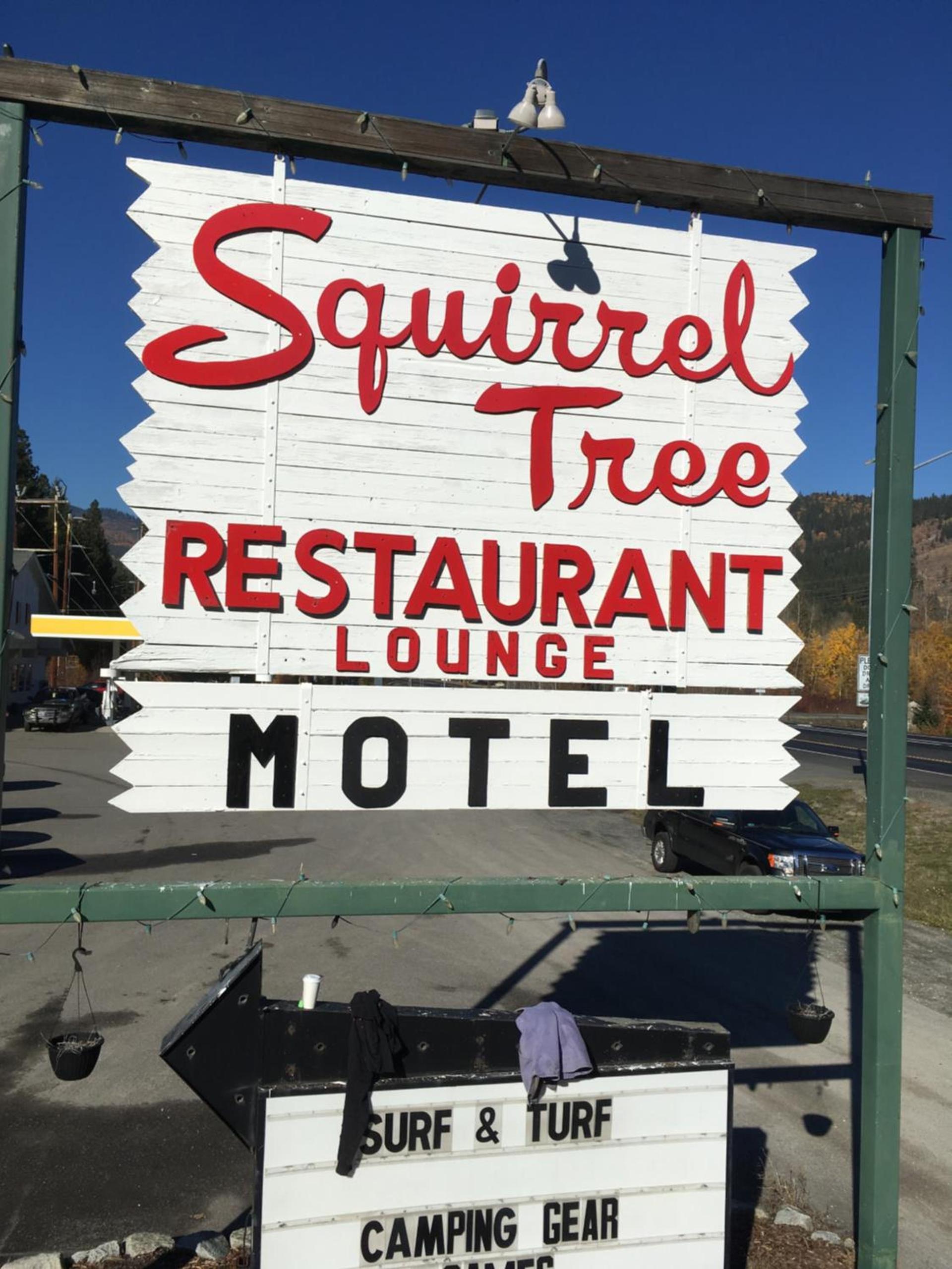 Squirrel Tree Resort photo 17