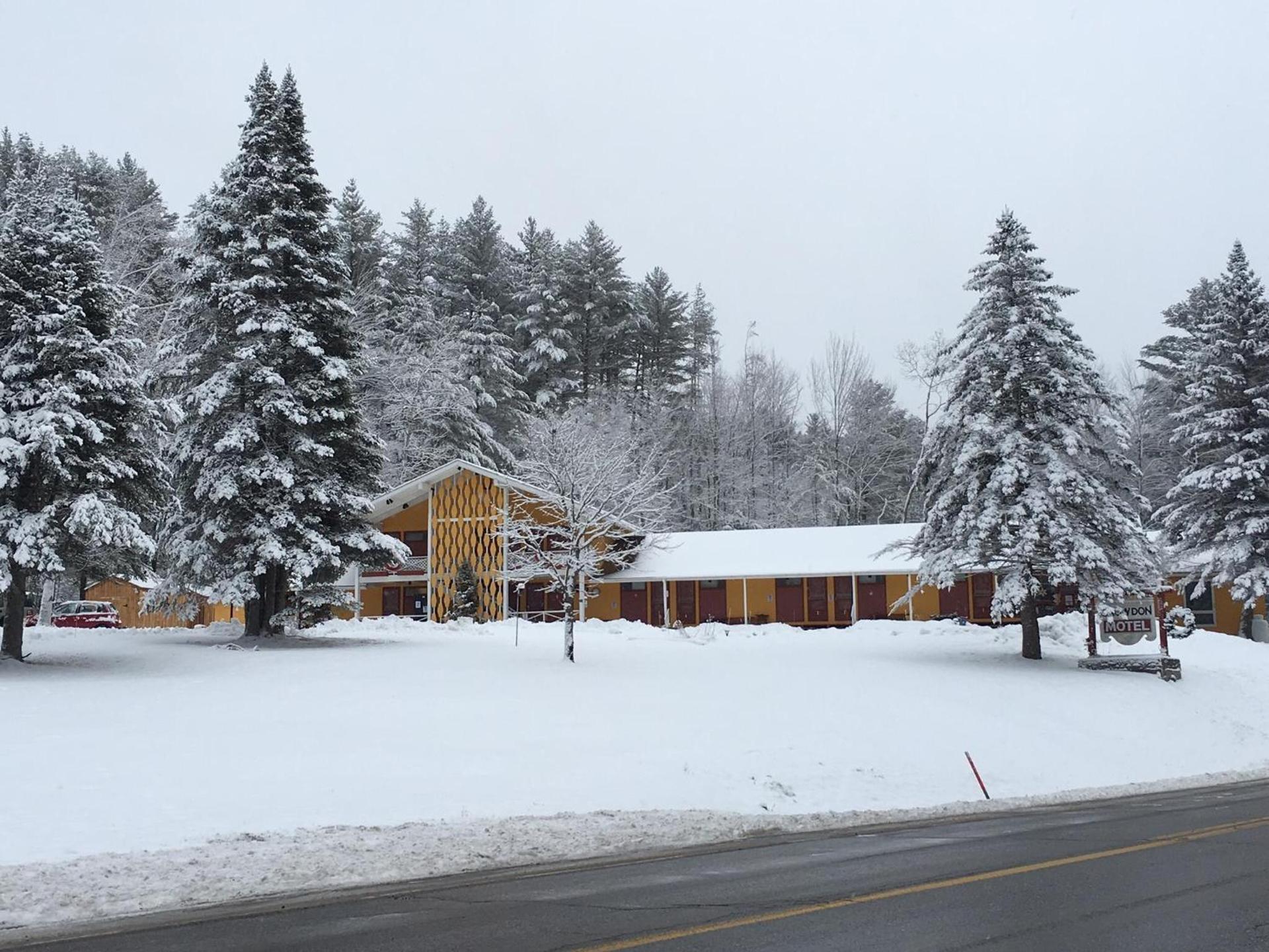 Snowdon Chalet Motel photo 65