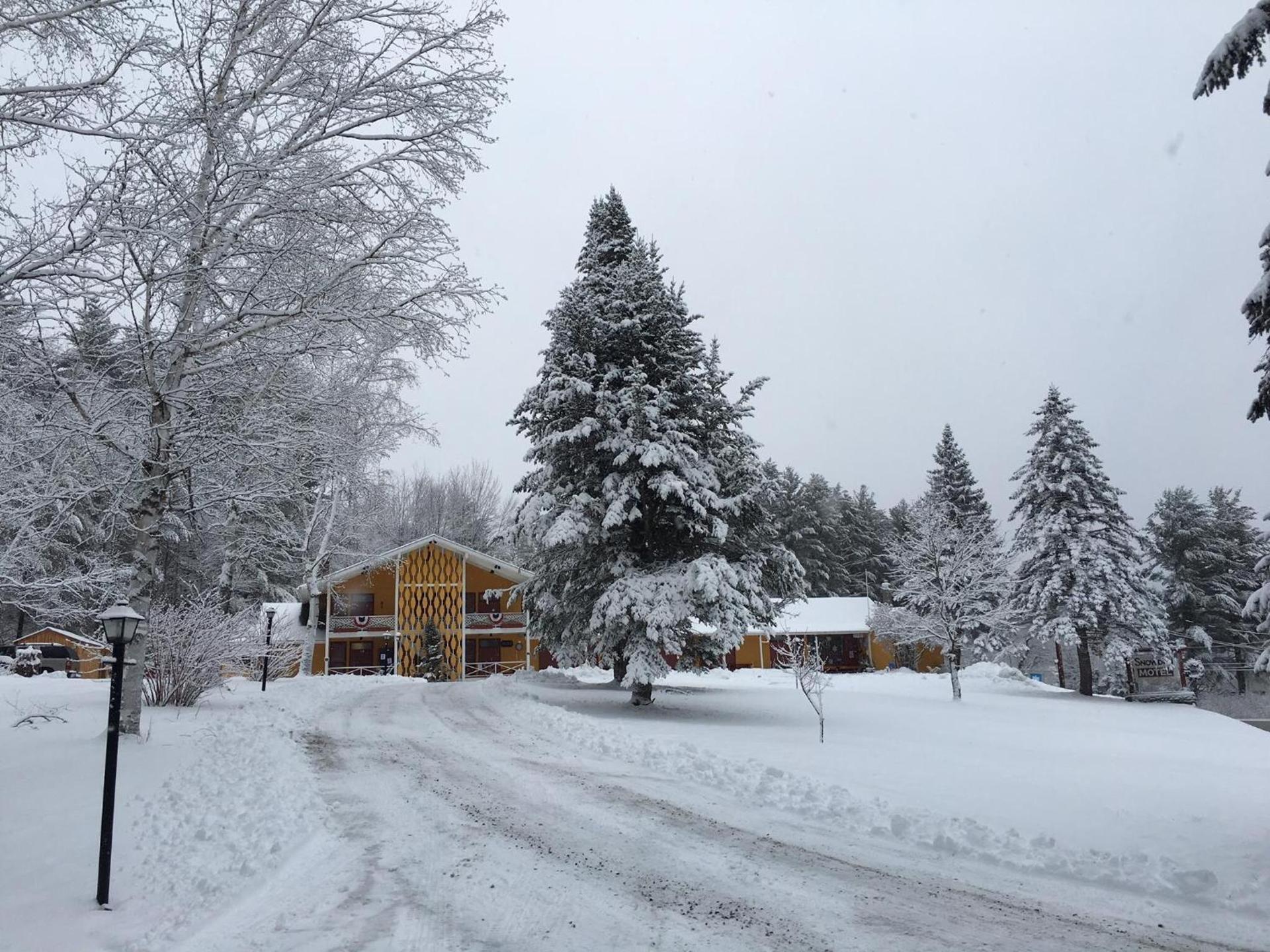 Snowdon Chalet Motel photo 8
