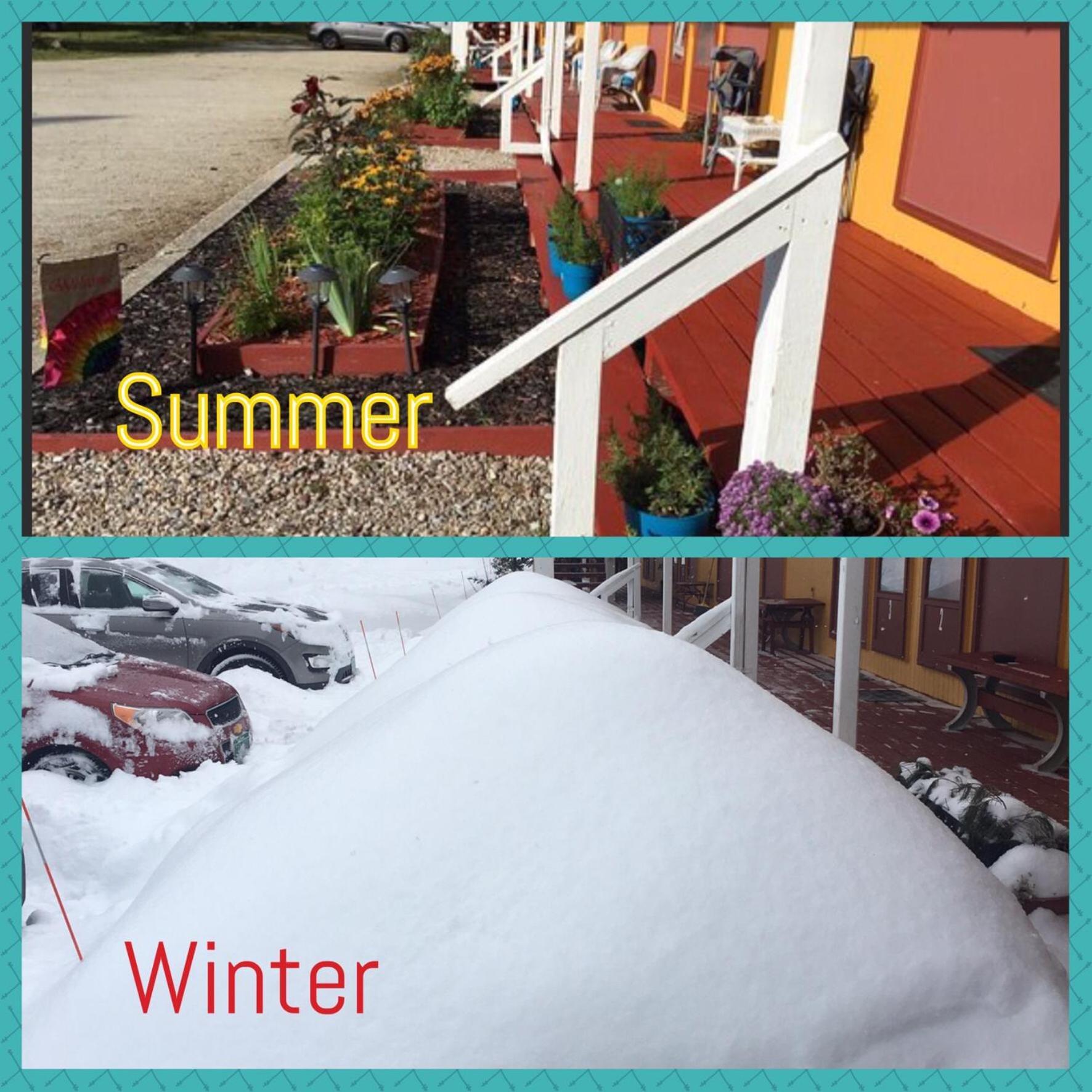Snowdon Chalet Motel photo 82