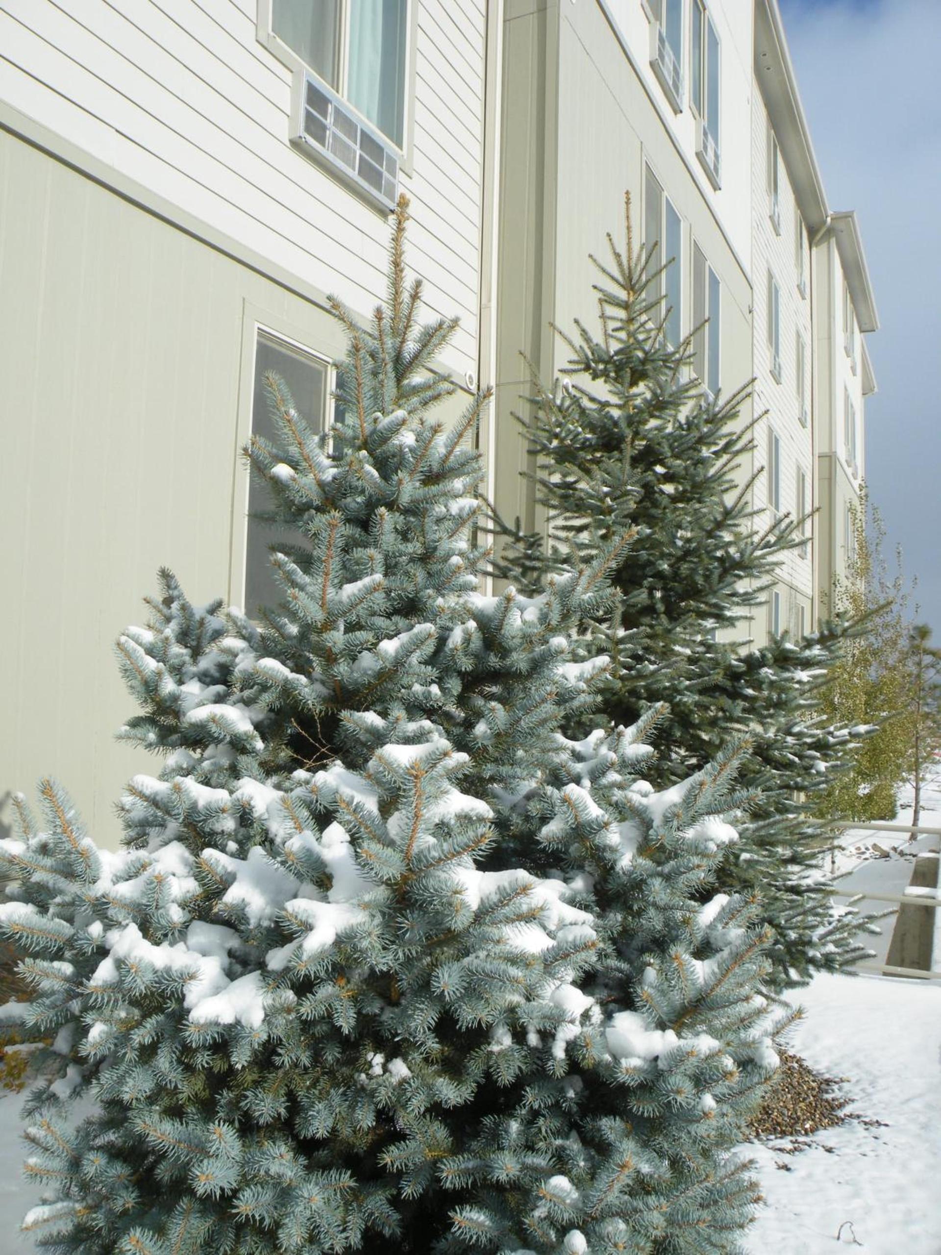 Bakken Airport XWA Hotel & Studios photo 67
