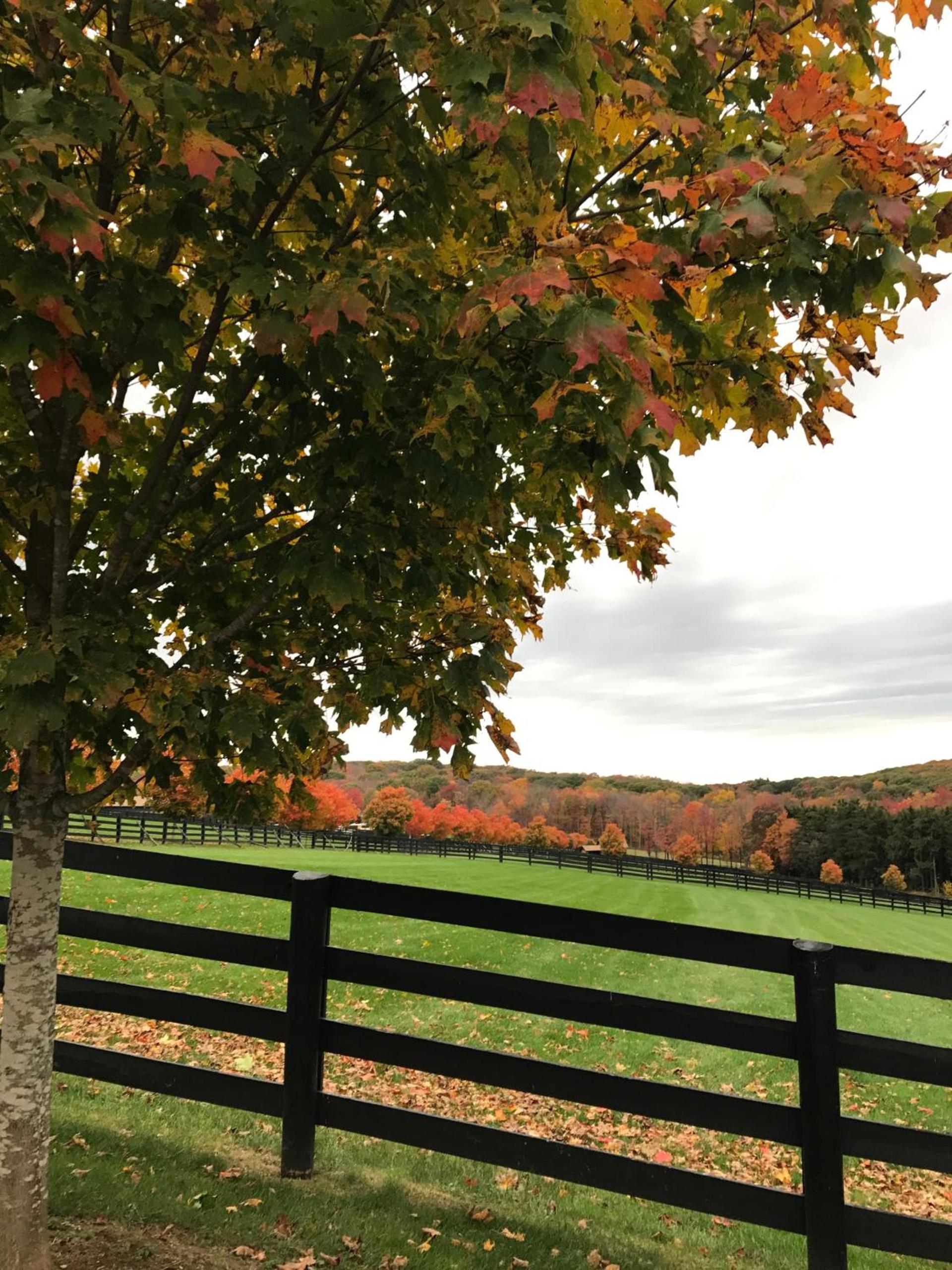 Station Inn Pawling photo 36