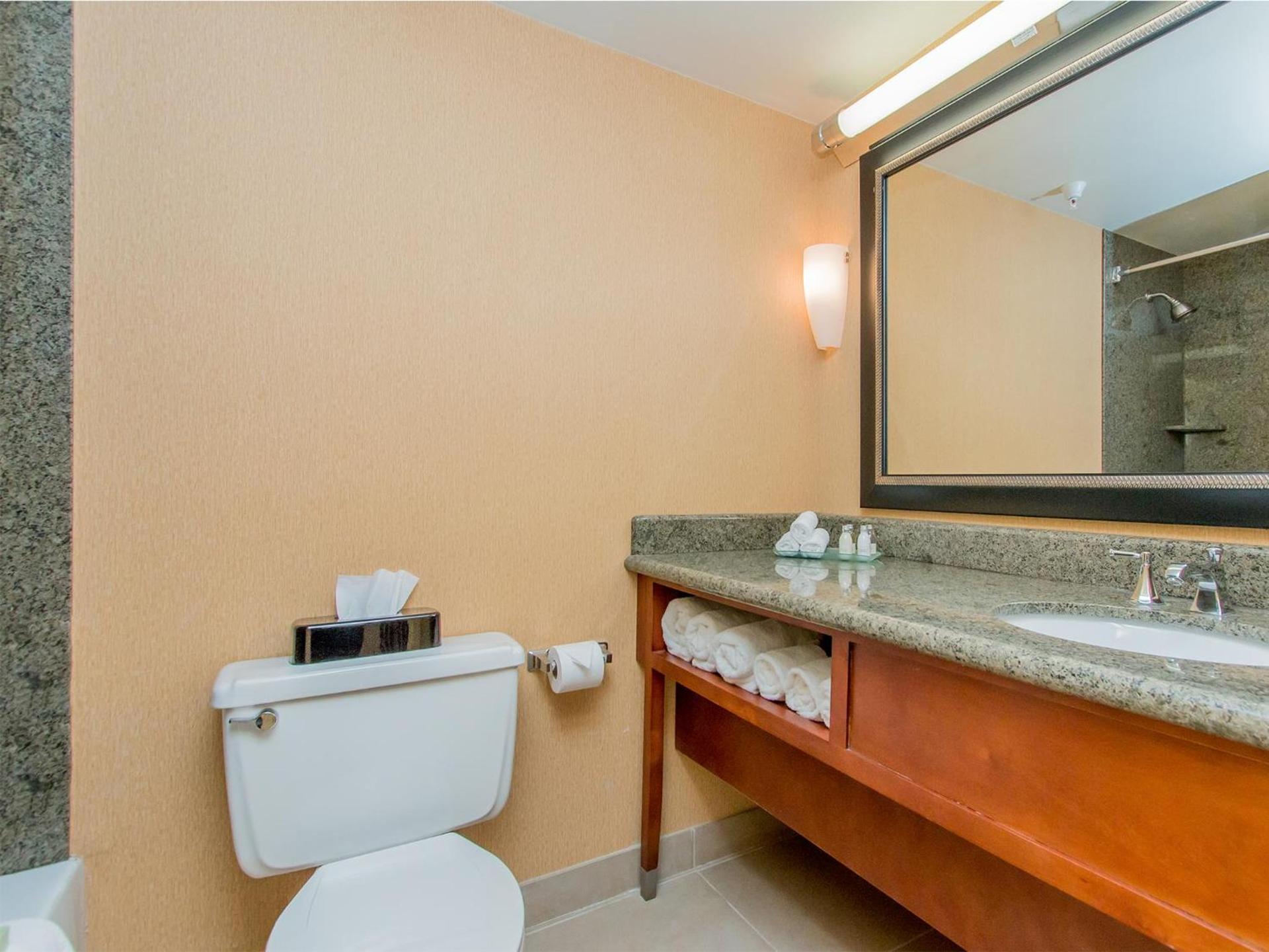 Doubletree By Hilton Battle Creek photo 33