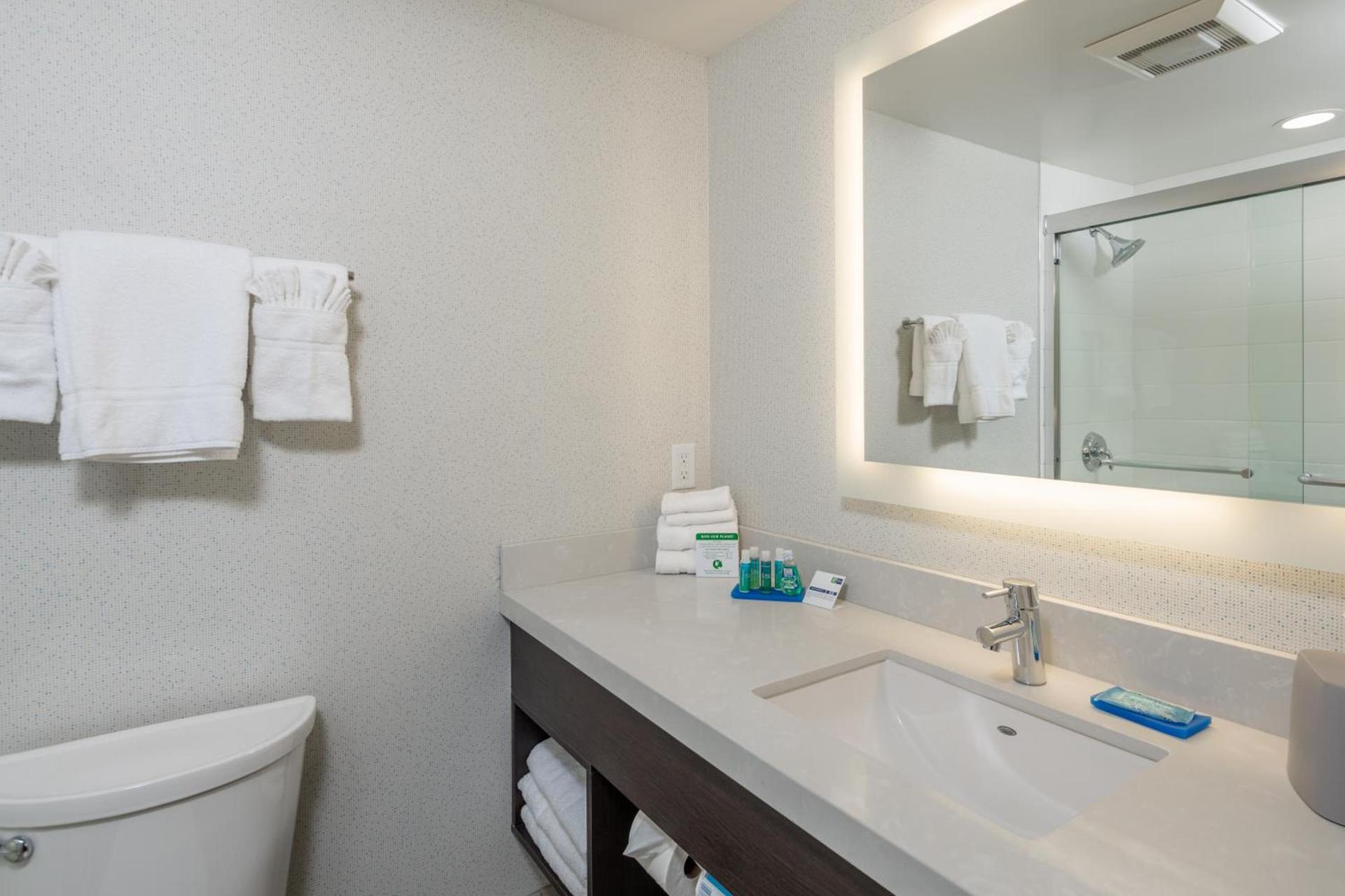 Holiday Inn Express - Sunnyvale - Silicon Valley by IHG photo 15